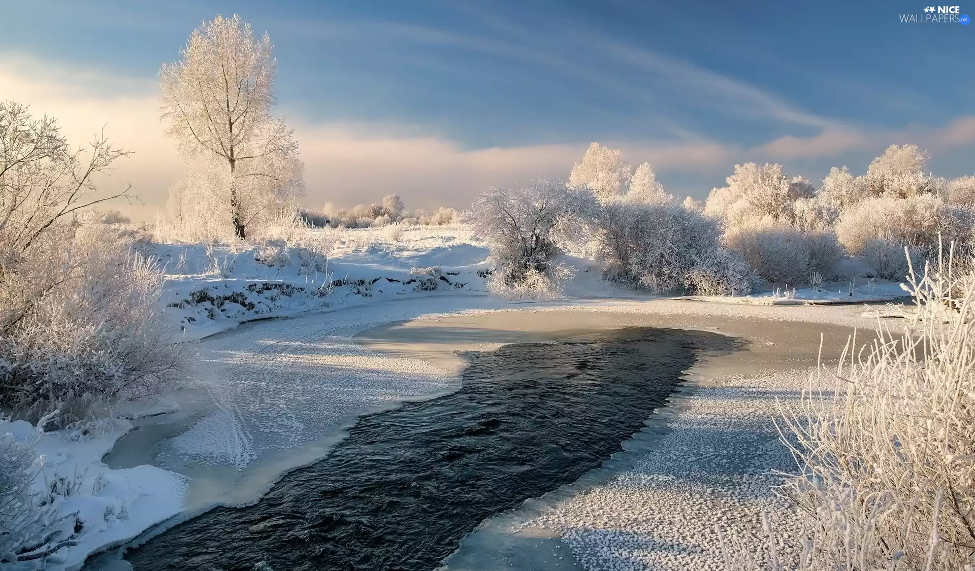 viewes, frosty, River, trees, winter