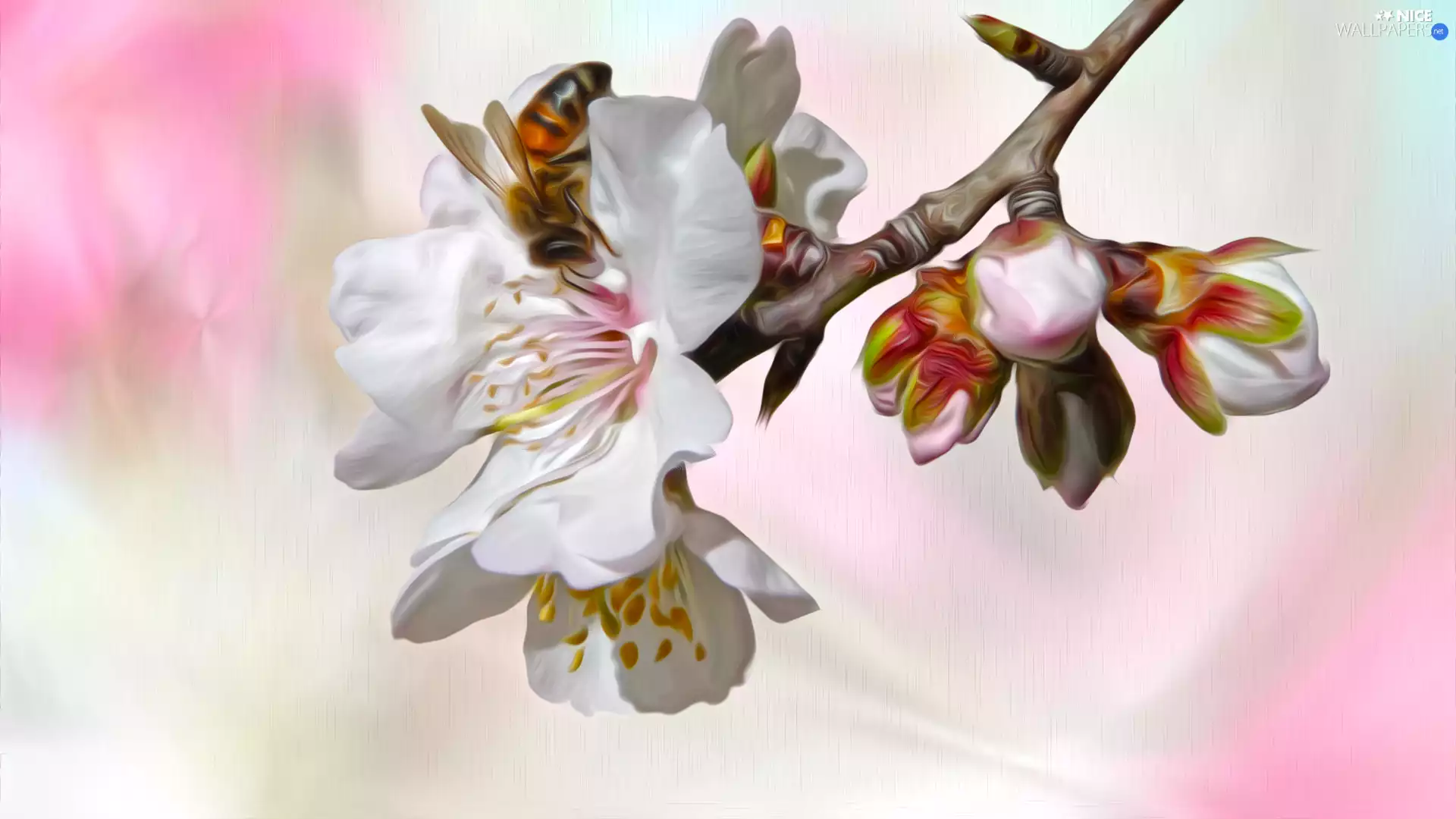 Flowers, bee, twig, Fruit Tree, graphics