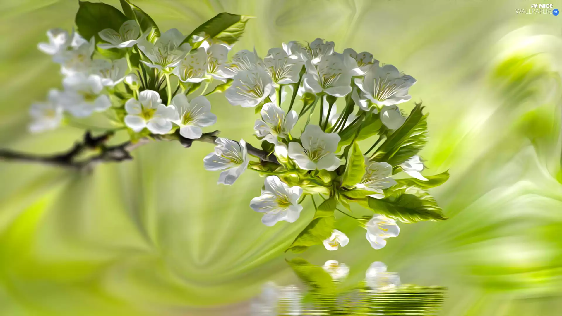 Flowers, cherries, Graphic Fruit Tree, twig