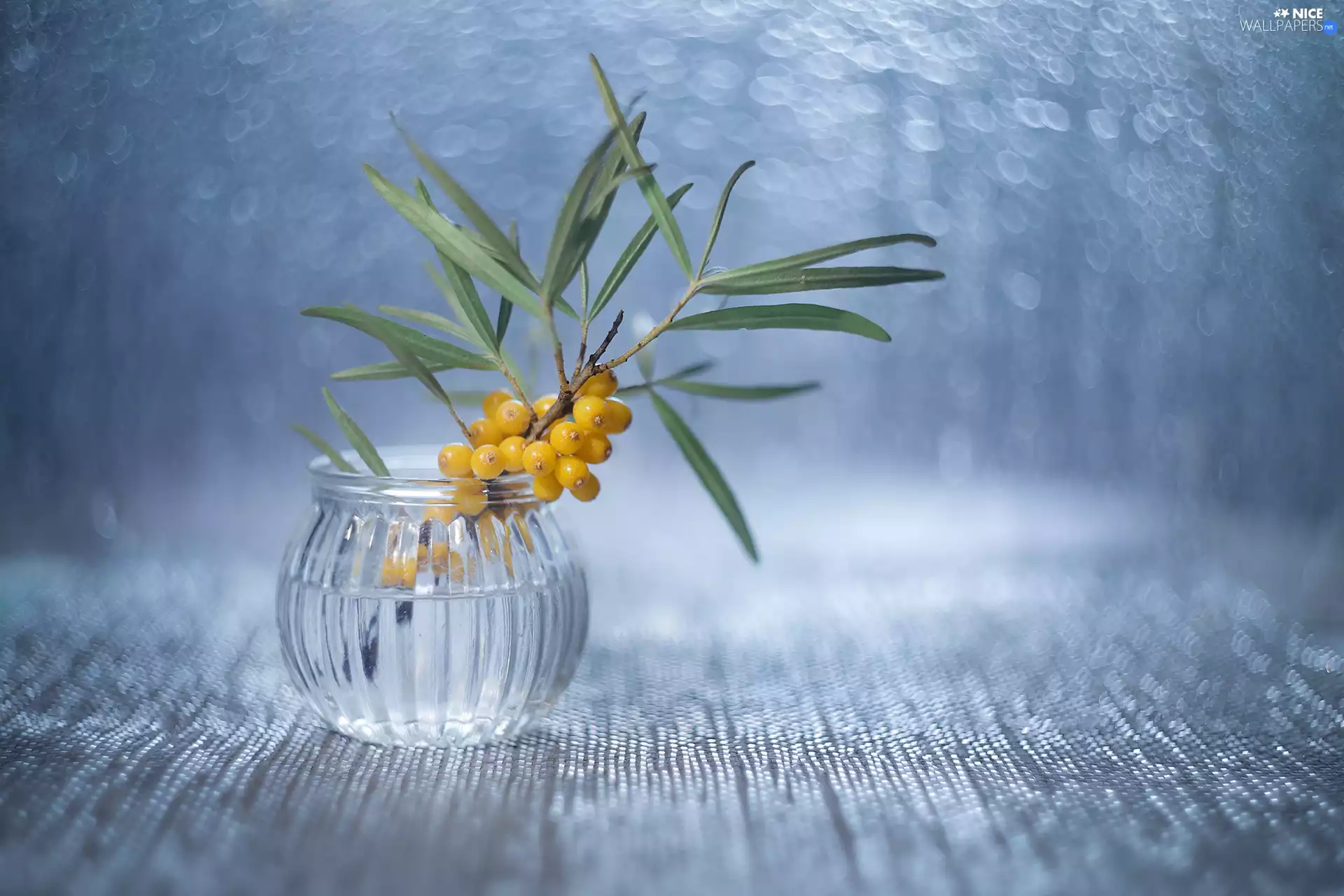 Yellow, bush, vase, Fruits