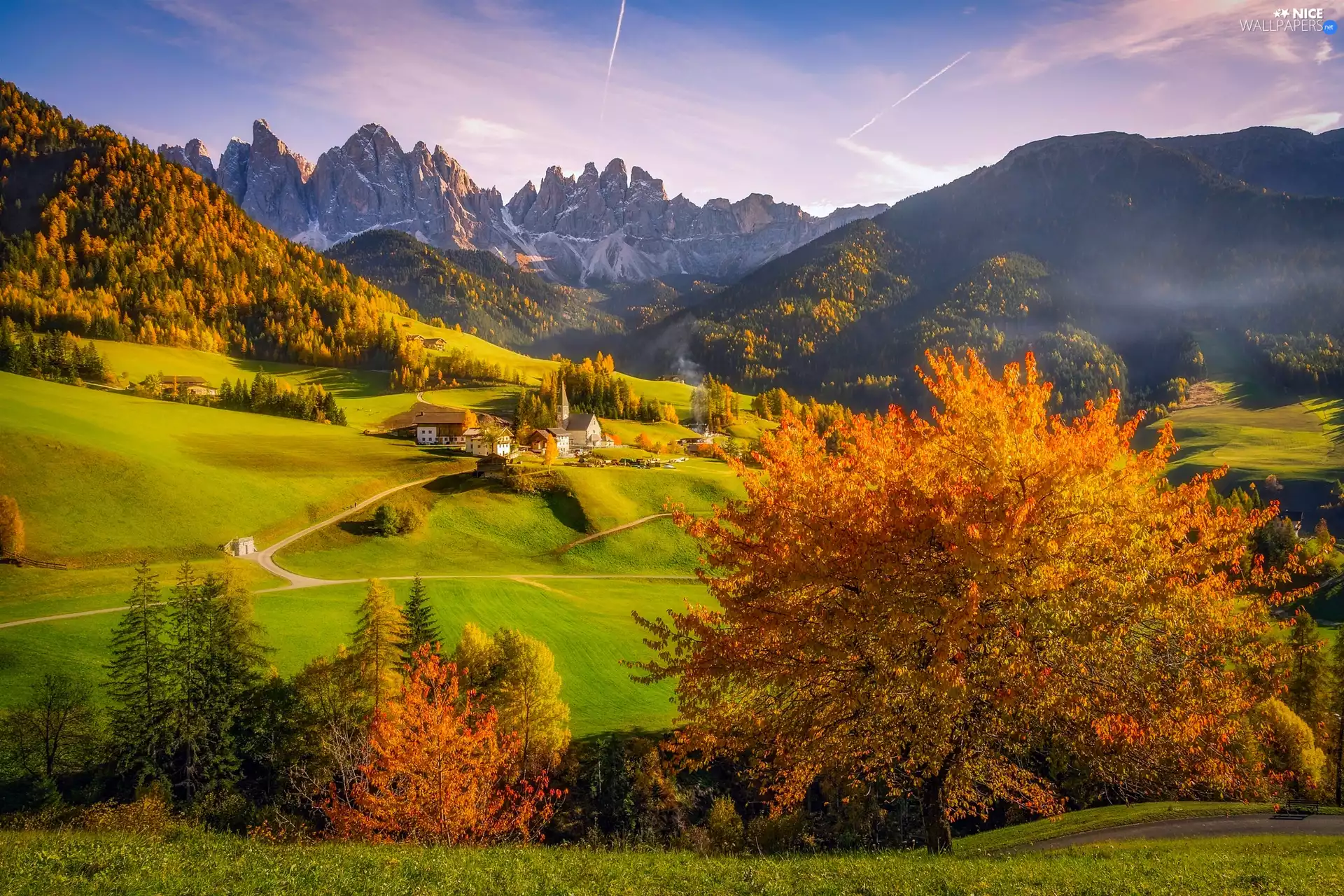 trees, woods, viewes, Mountains, Village of Santa Maddalena, Houses, autumn, Italy, Church, Massif Odle, Val di Funes Valley, Dolomites