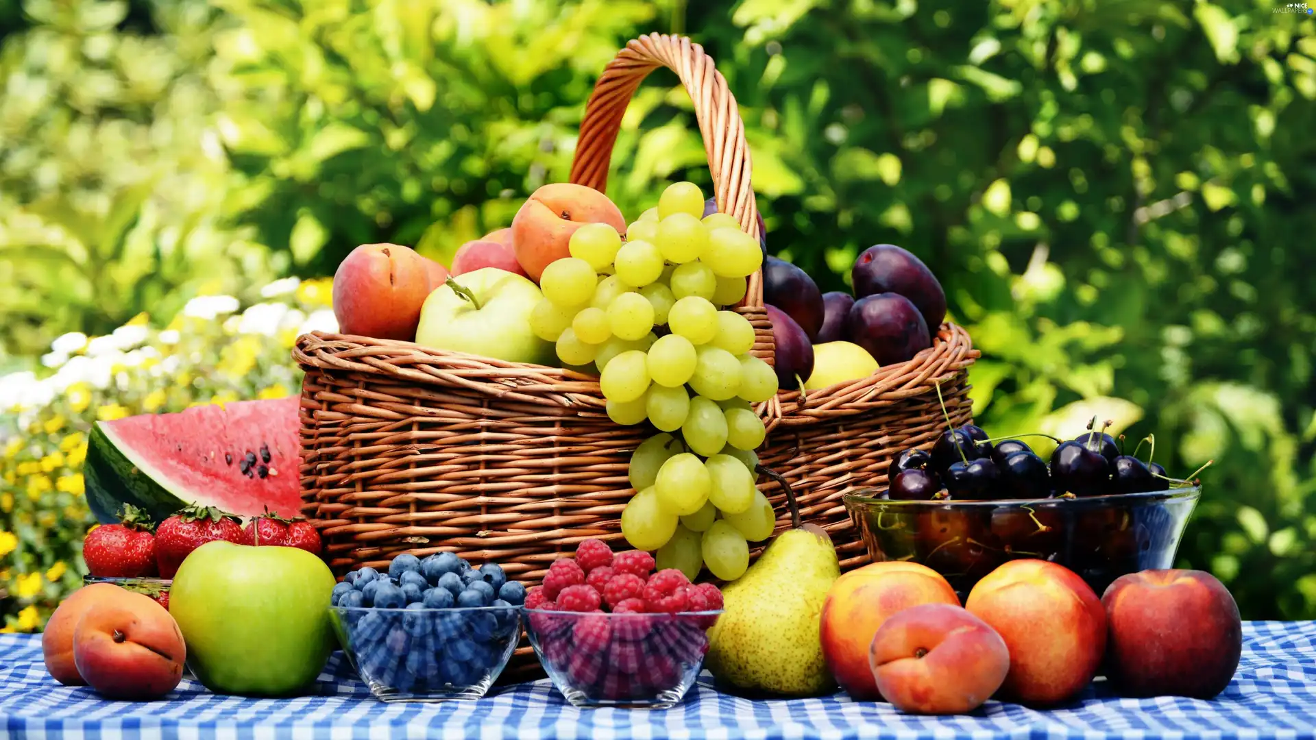 Garden, Fruits, basket