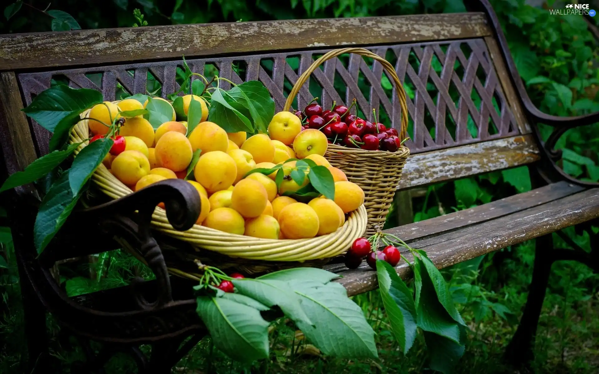 Bench, Baskets, Garden, Fruits