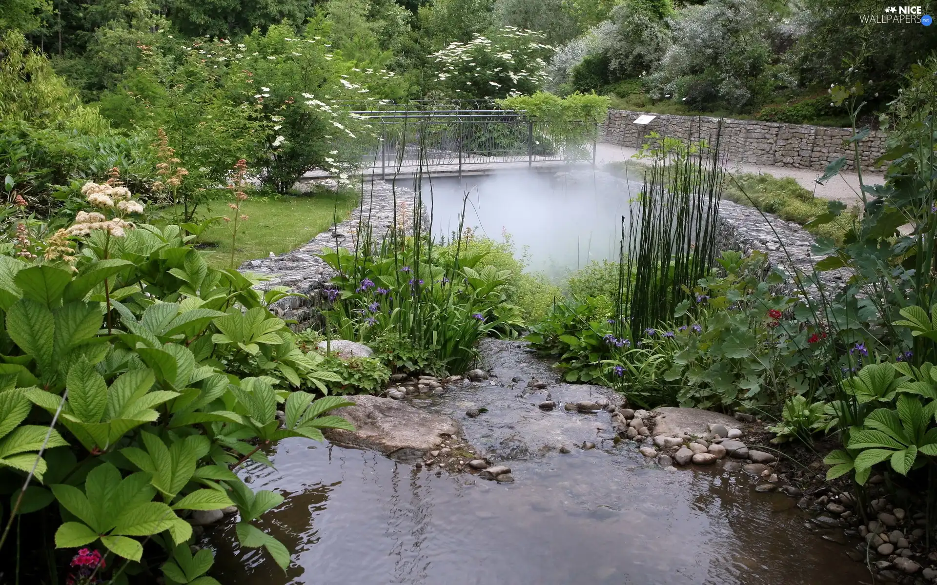 bridges, Flowers, Garden, Bush