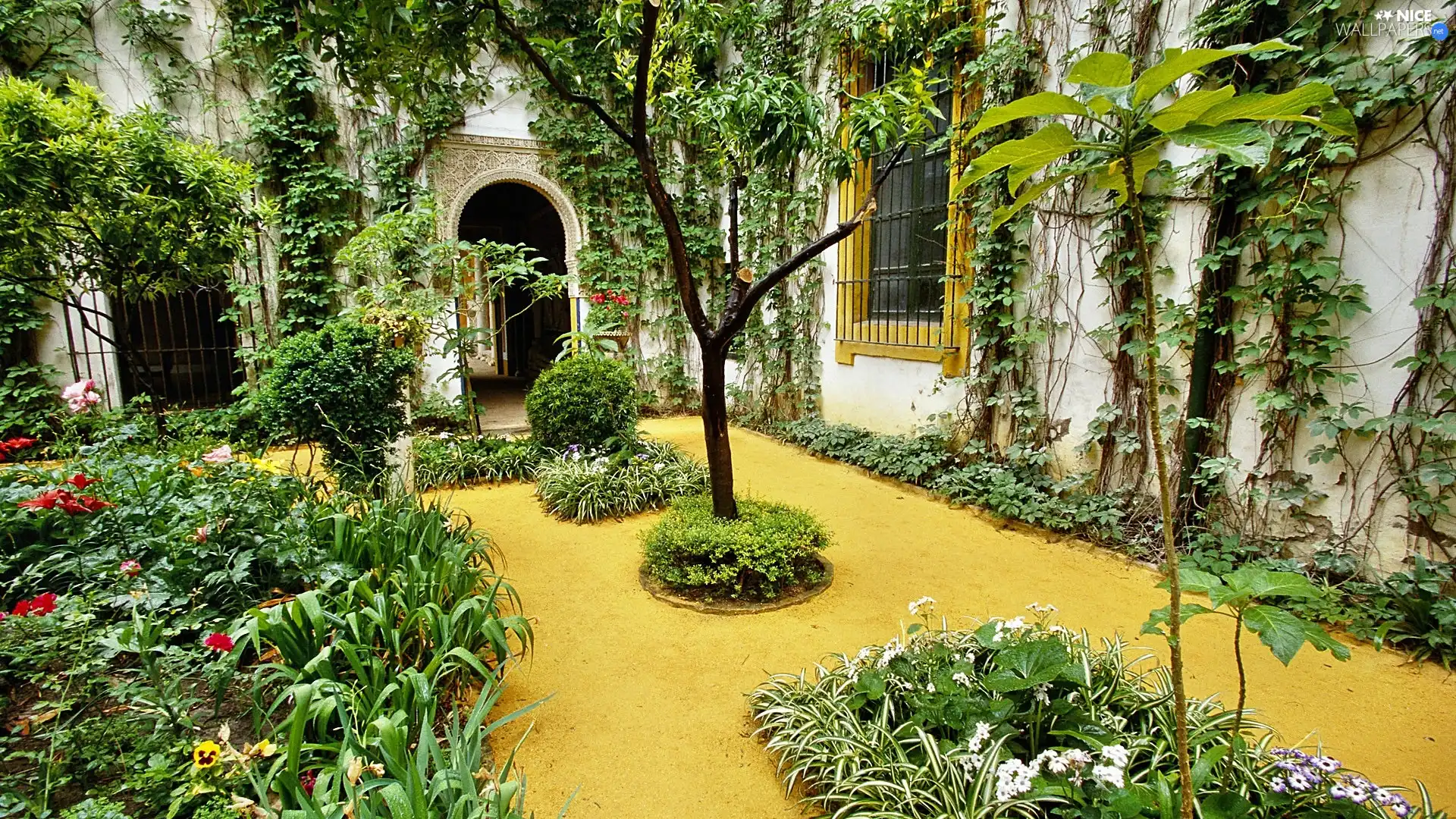 Garden, house, patio