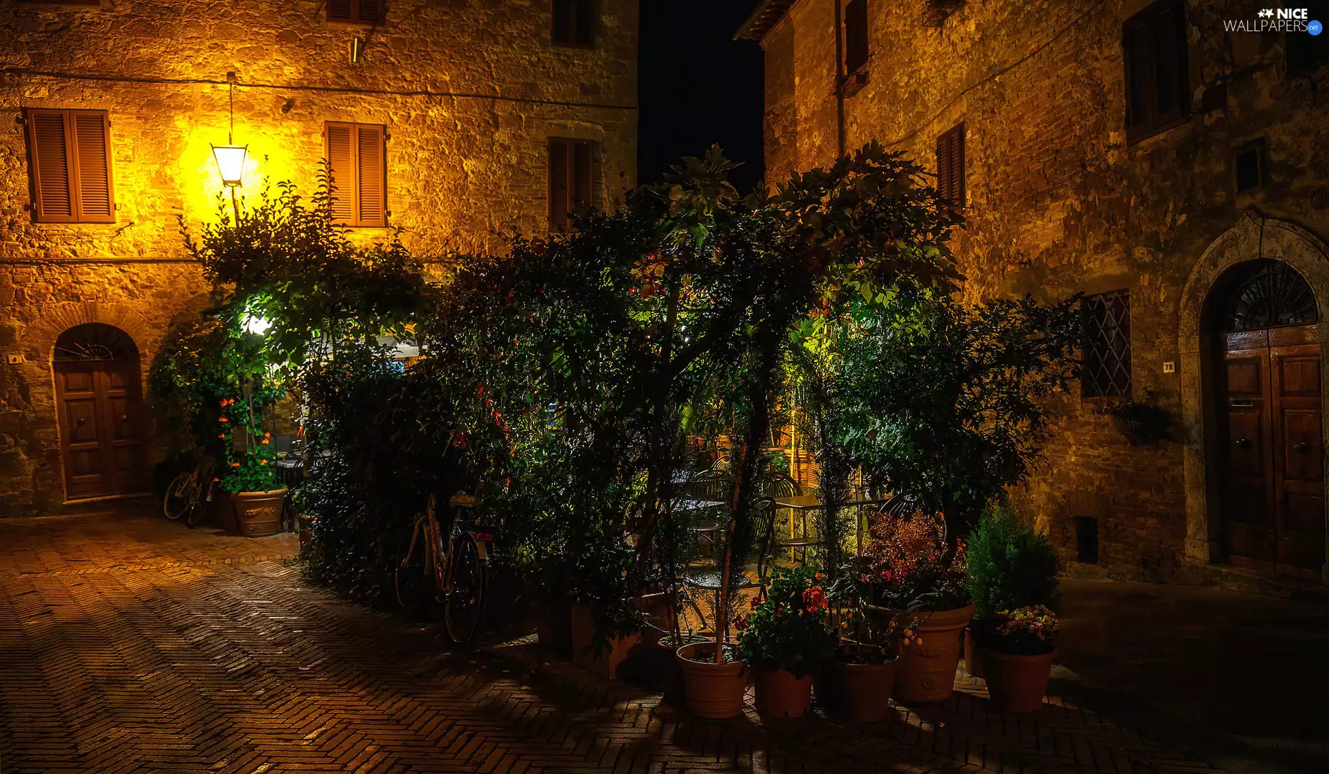 Street, Houses, pots, cafeteria, Plants, Tuscany, Italy, garden