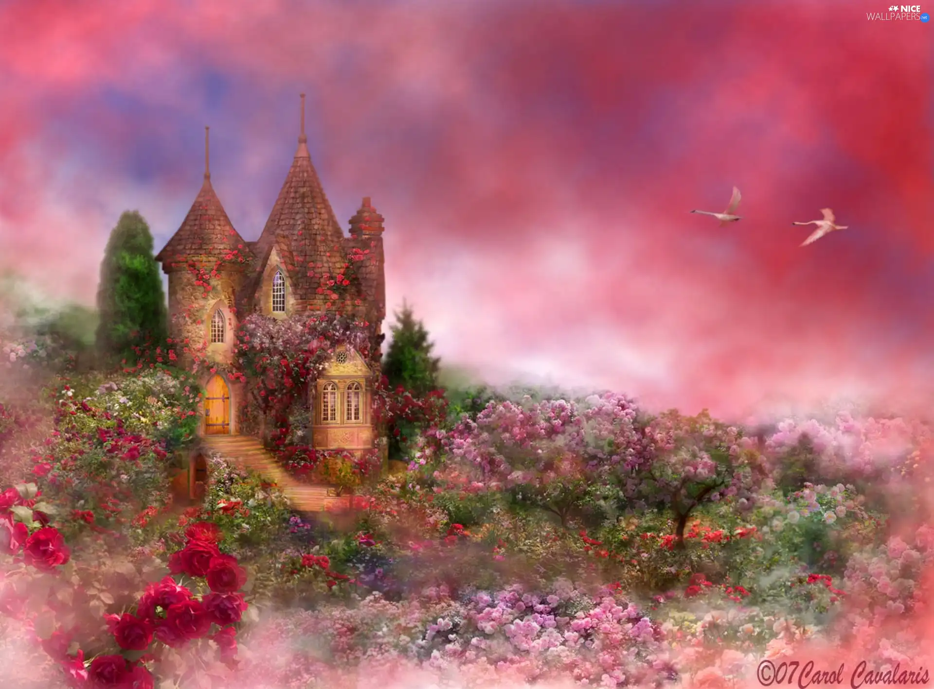 Garden, Castle, rosy