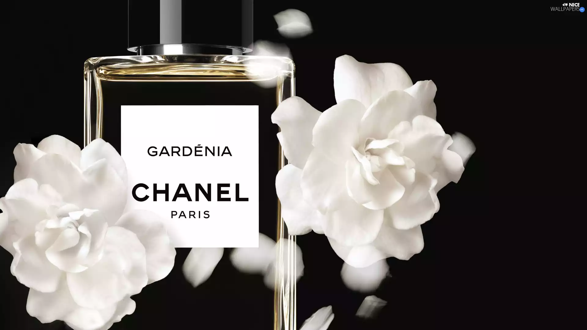 Flowers, perfume, Chanel, Gardenia