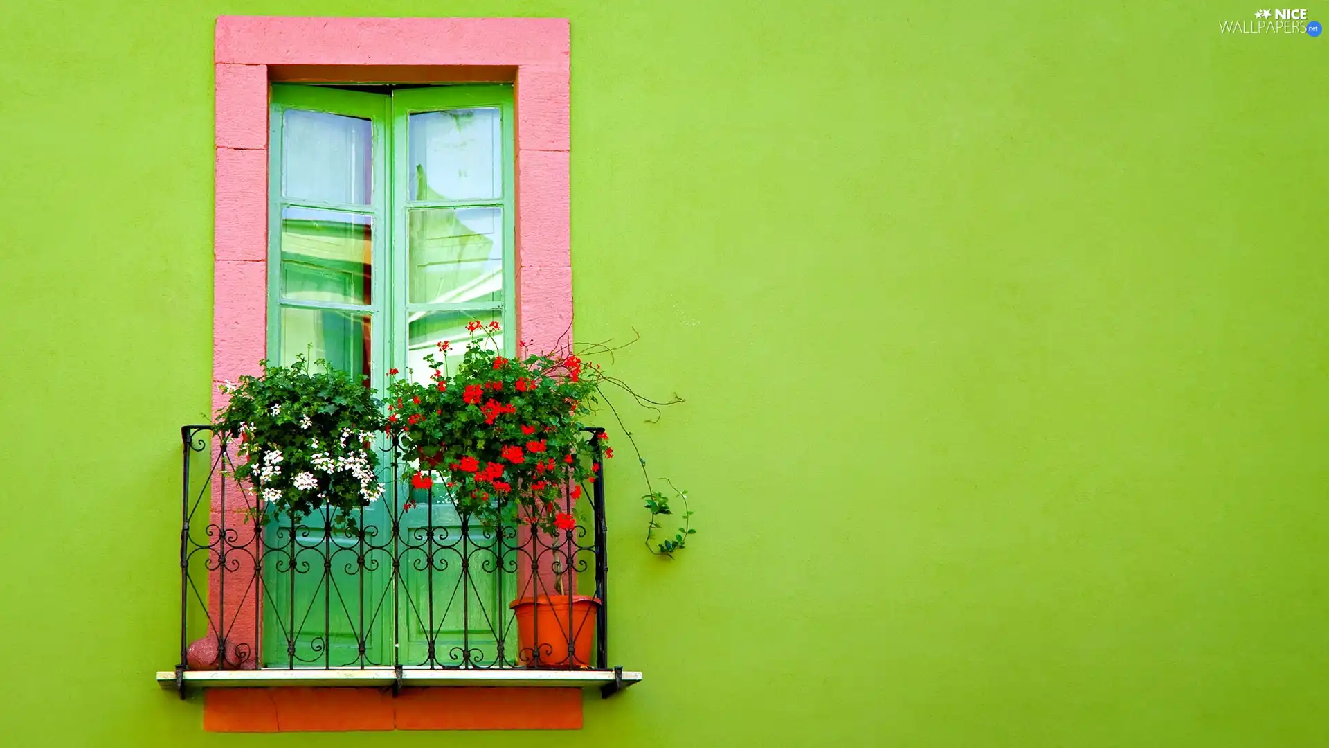 geranium, Balcony, Flowers