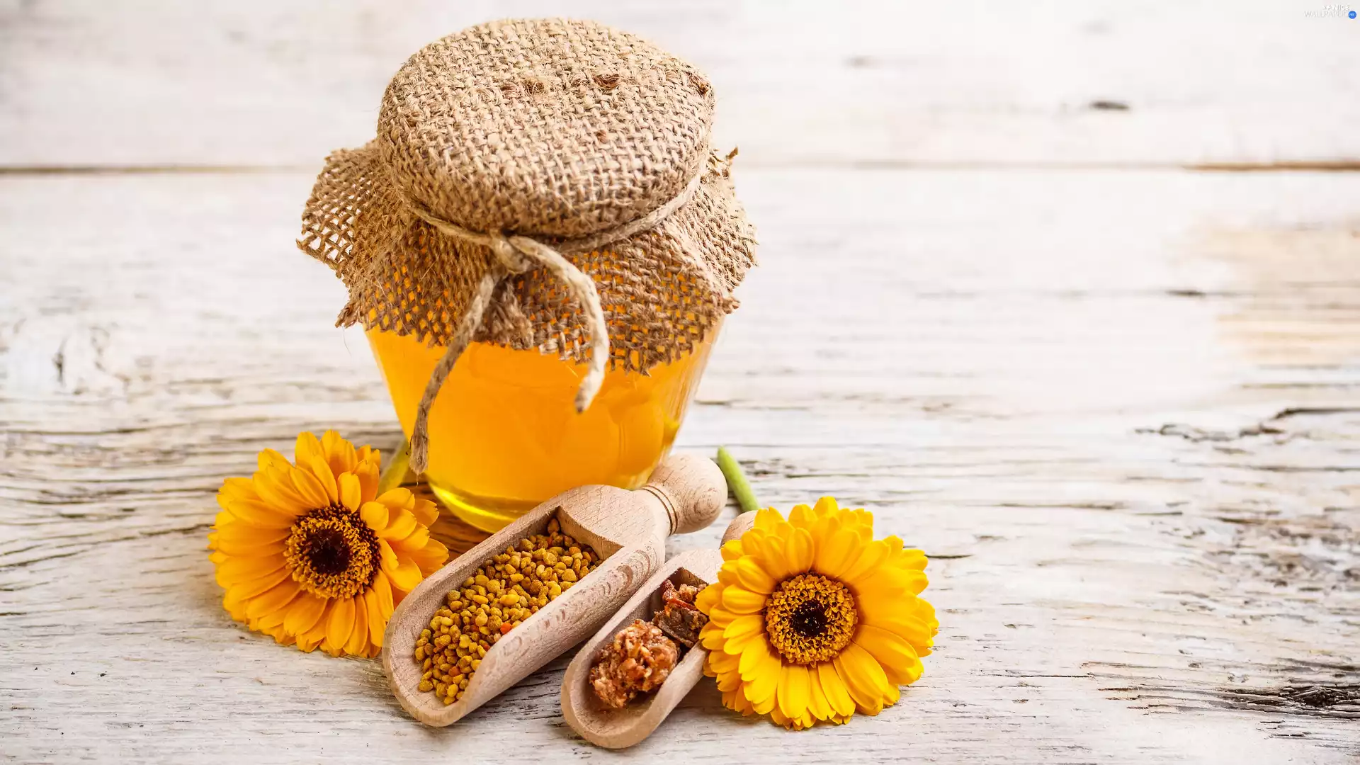 gerberas, honey, Propolis