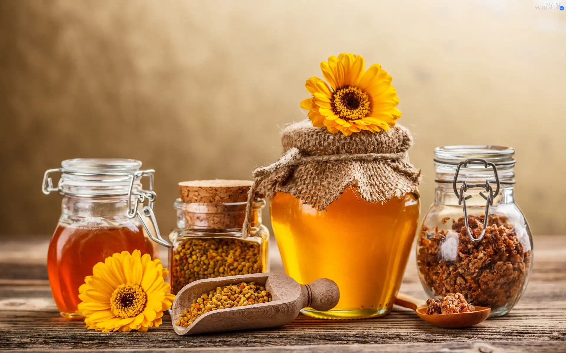 gerberas, honey, Propolis