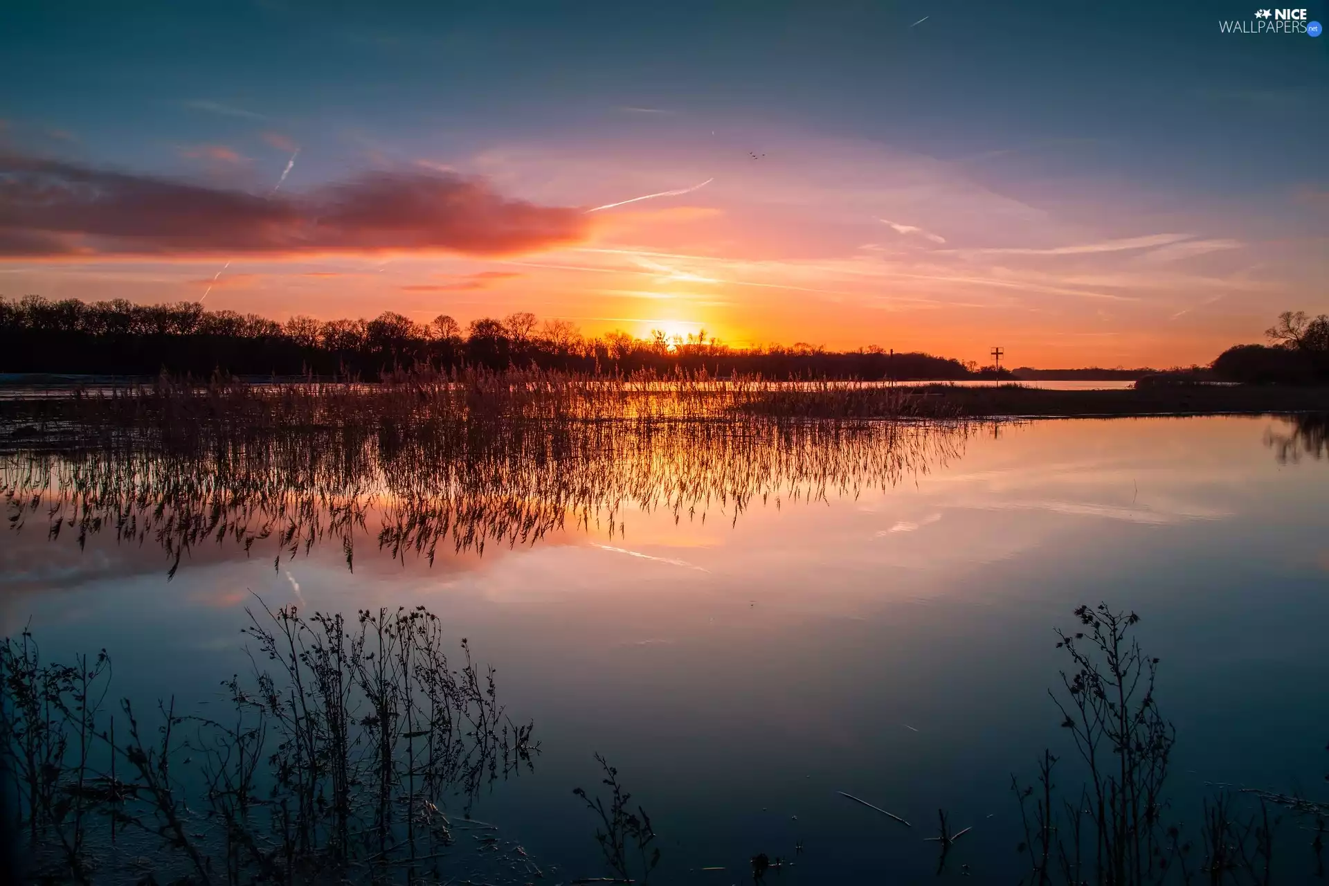 Great Sunsets, grass, Germany, River Elbe