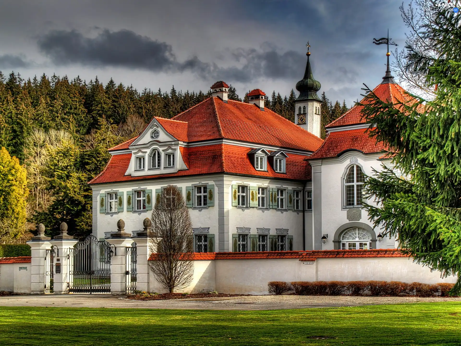 Germany, cloister, forest