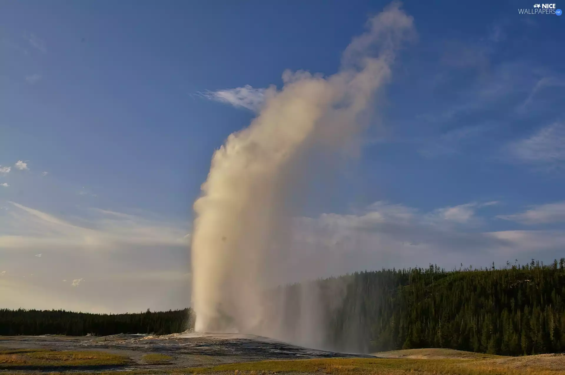 geyser