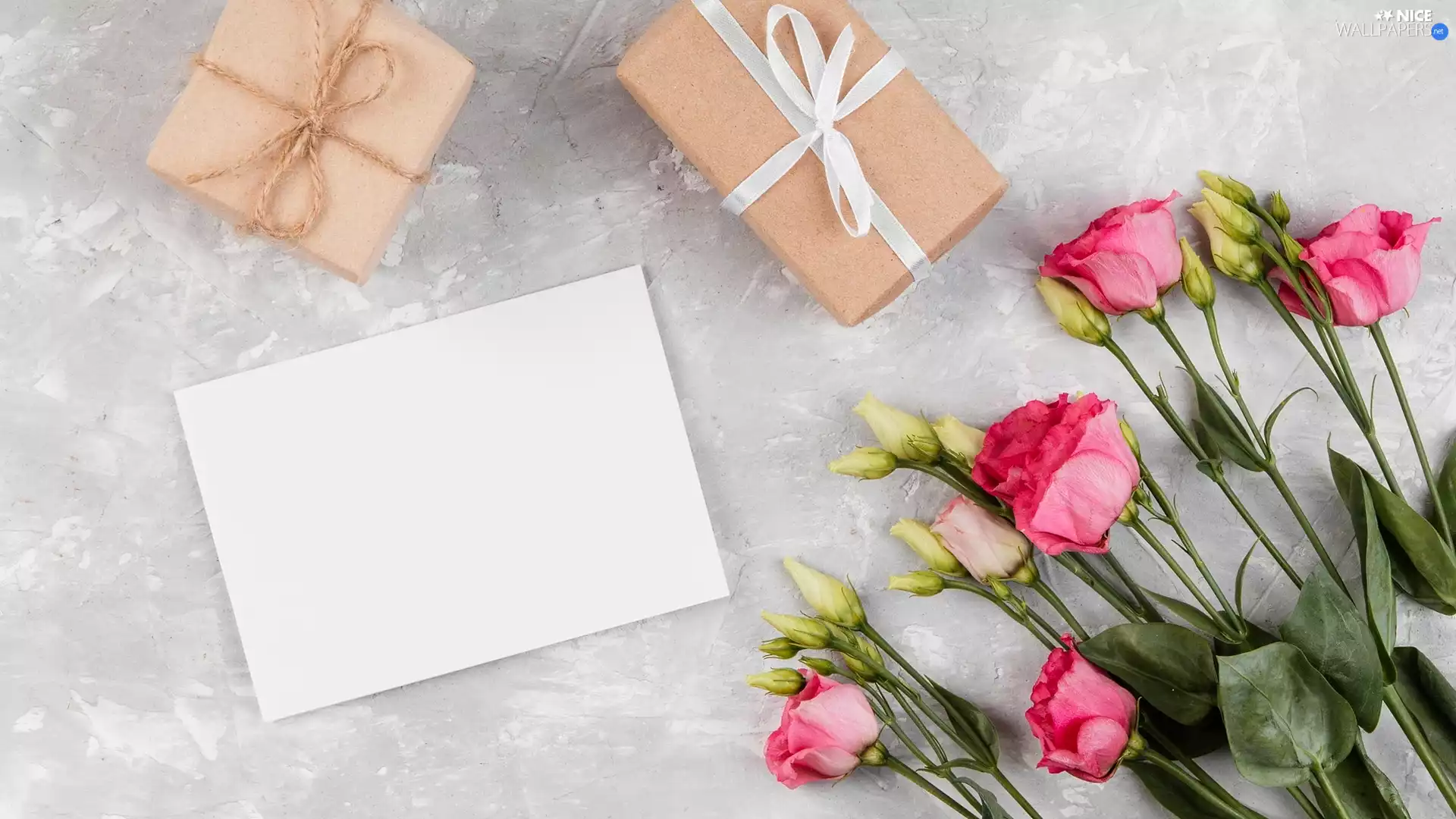 Eustomy, White, card, gifts