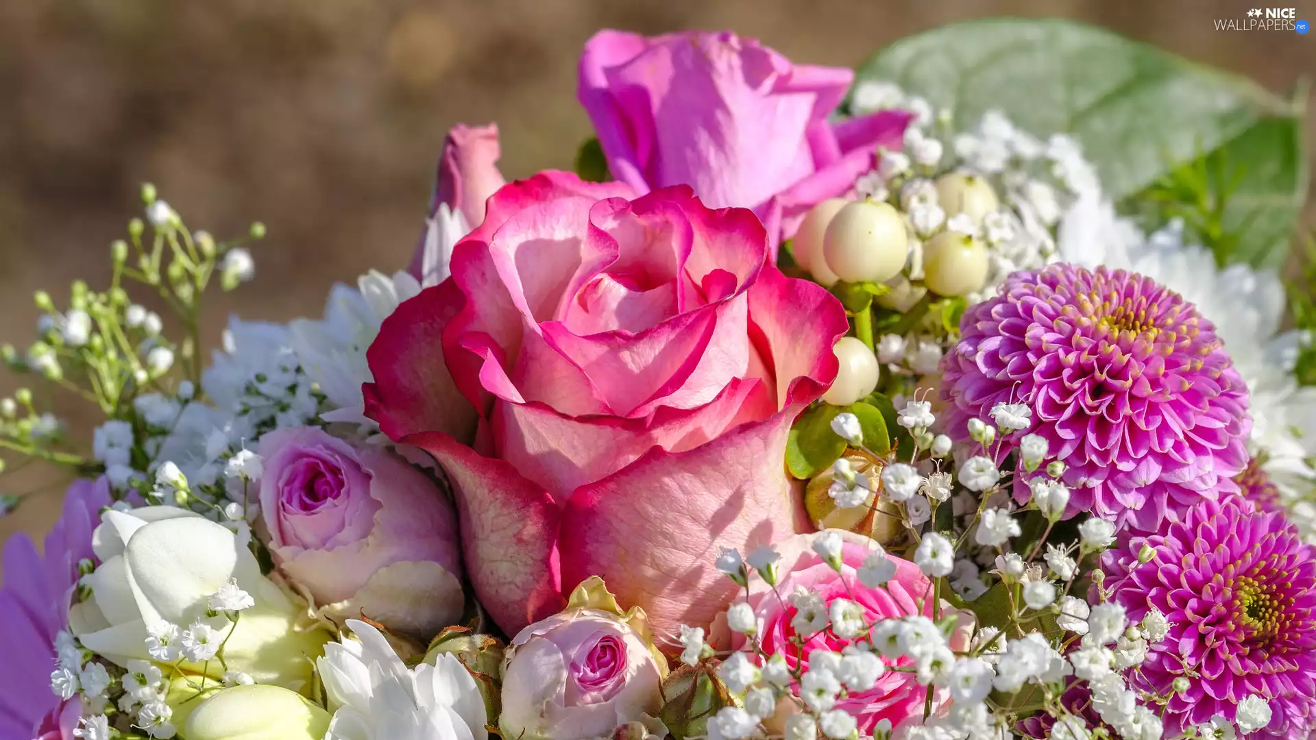 dahlias, Gipsówka, Flowers, roses, bouquet