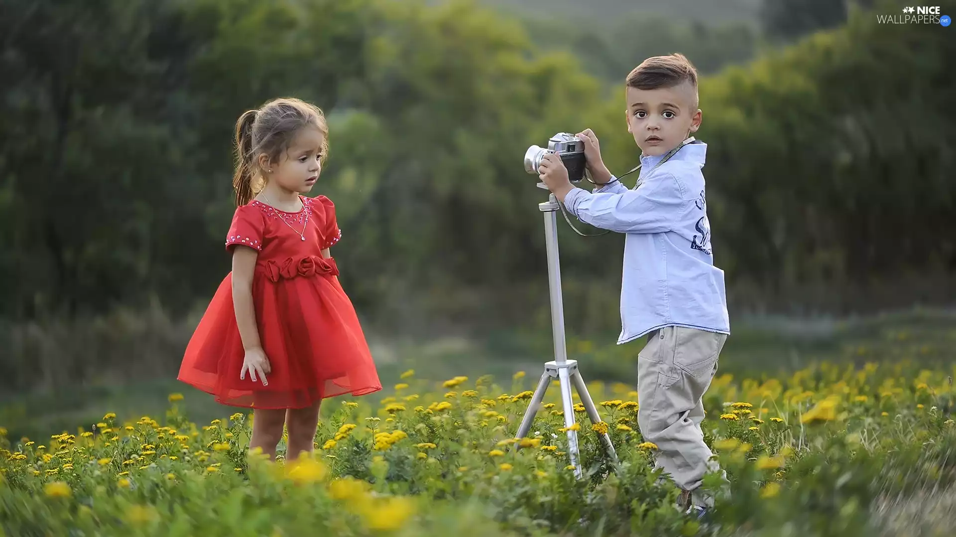 boy, Meadow, Camera, girl