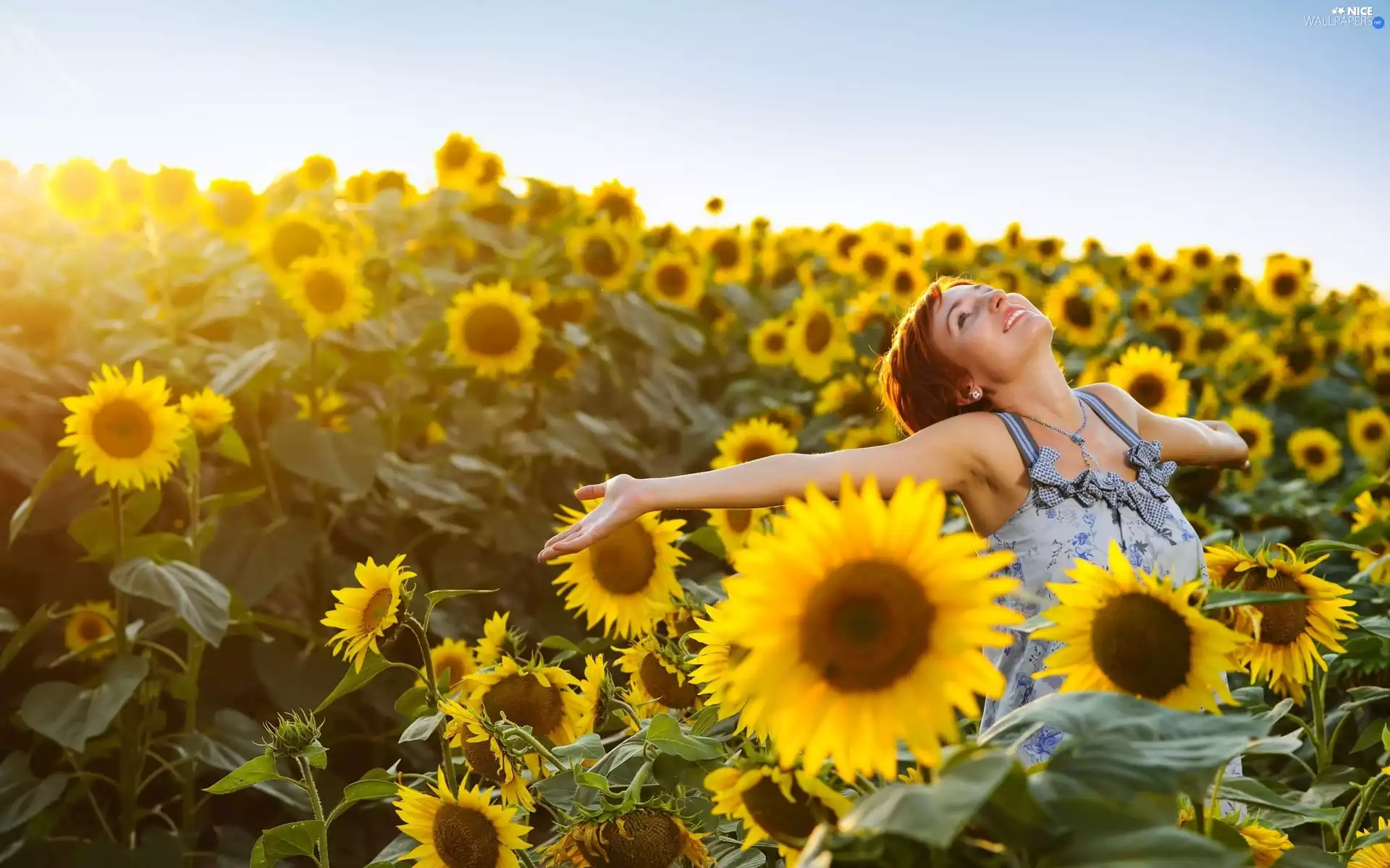 happy, Field, sunflowers, girl