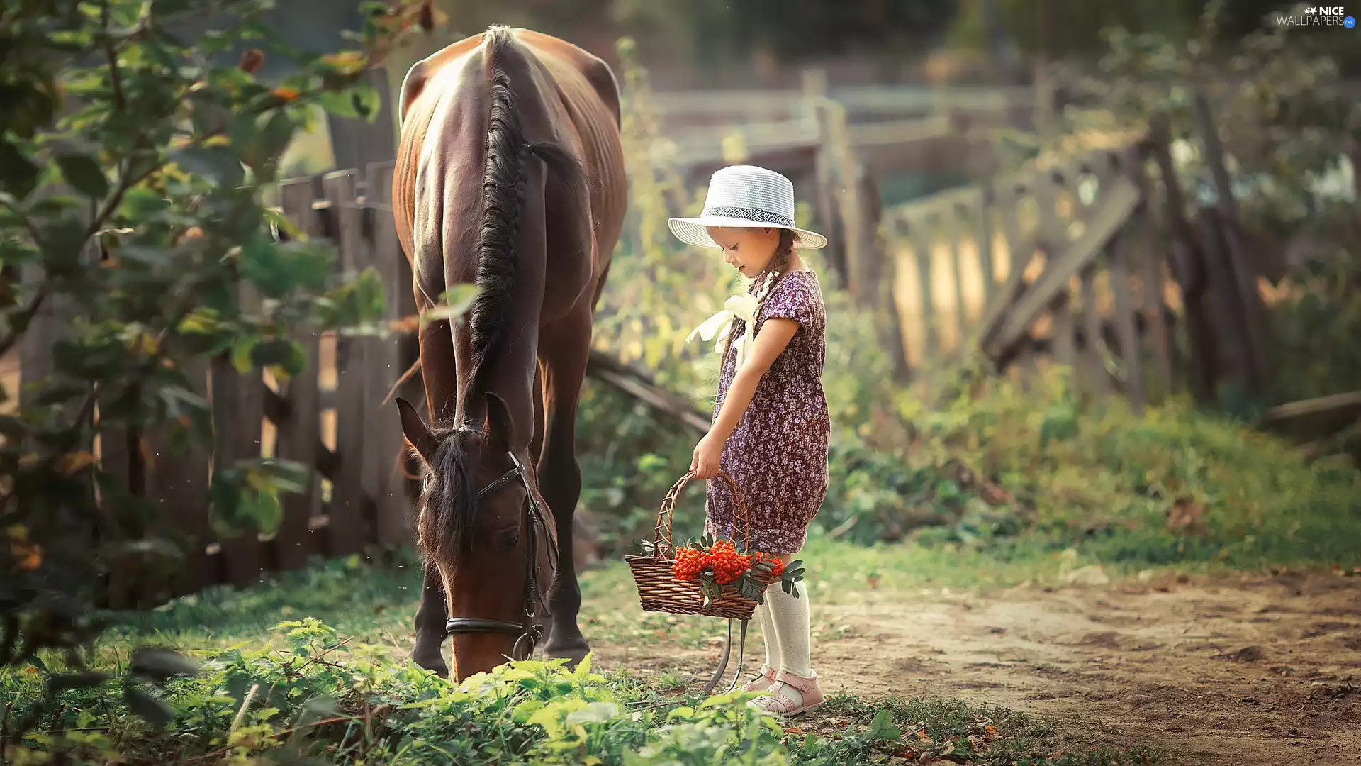 Horse, Hat, basket, girl