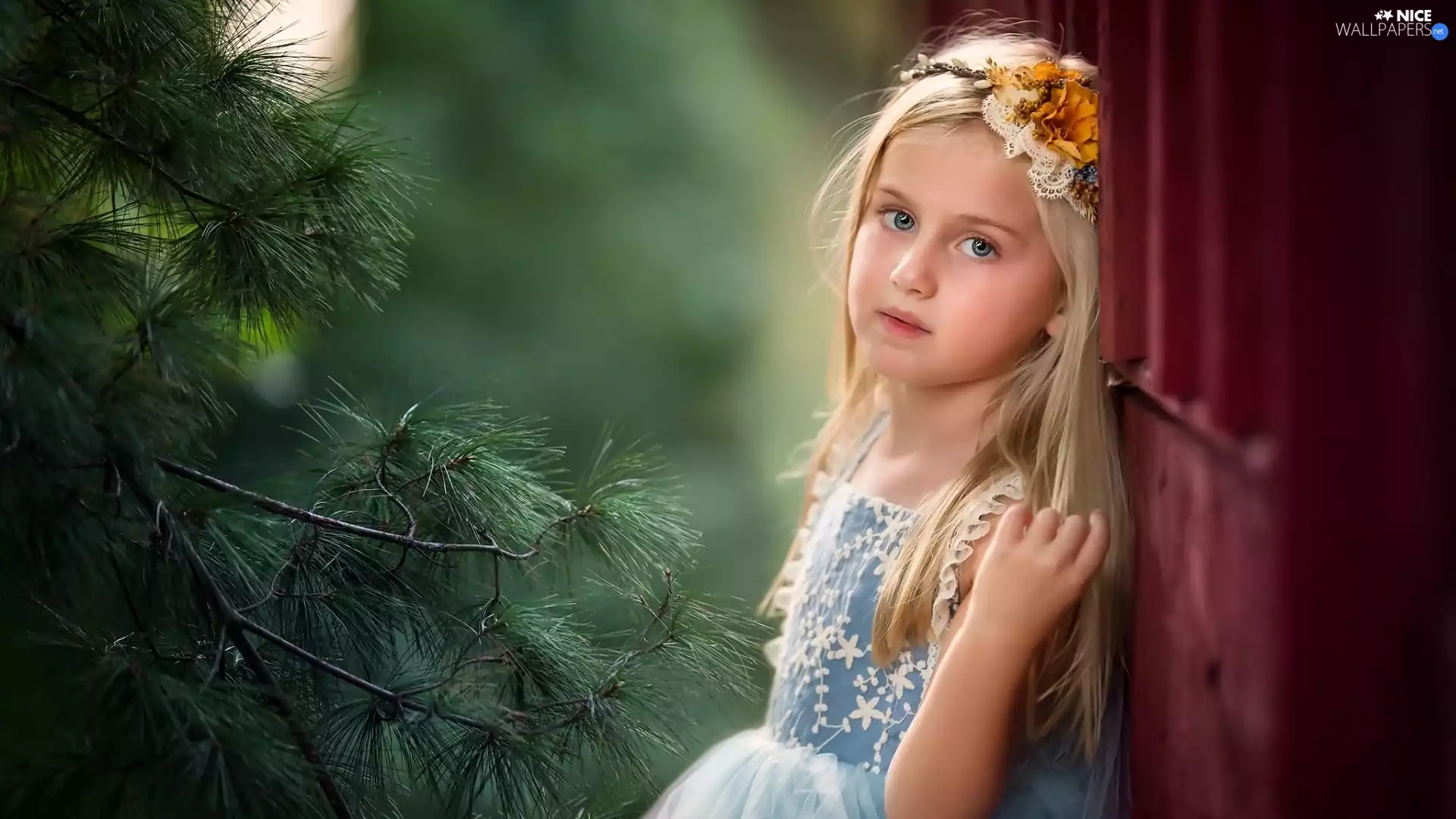 Kid, wreath, larch, girl