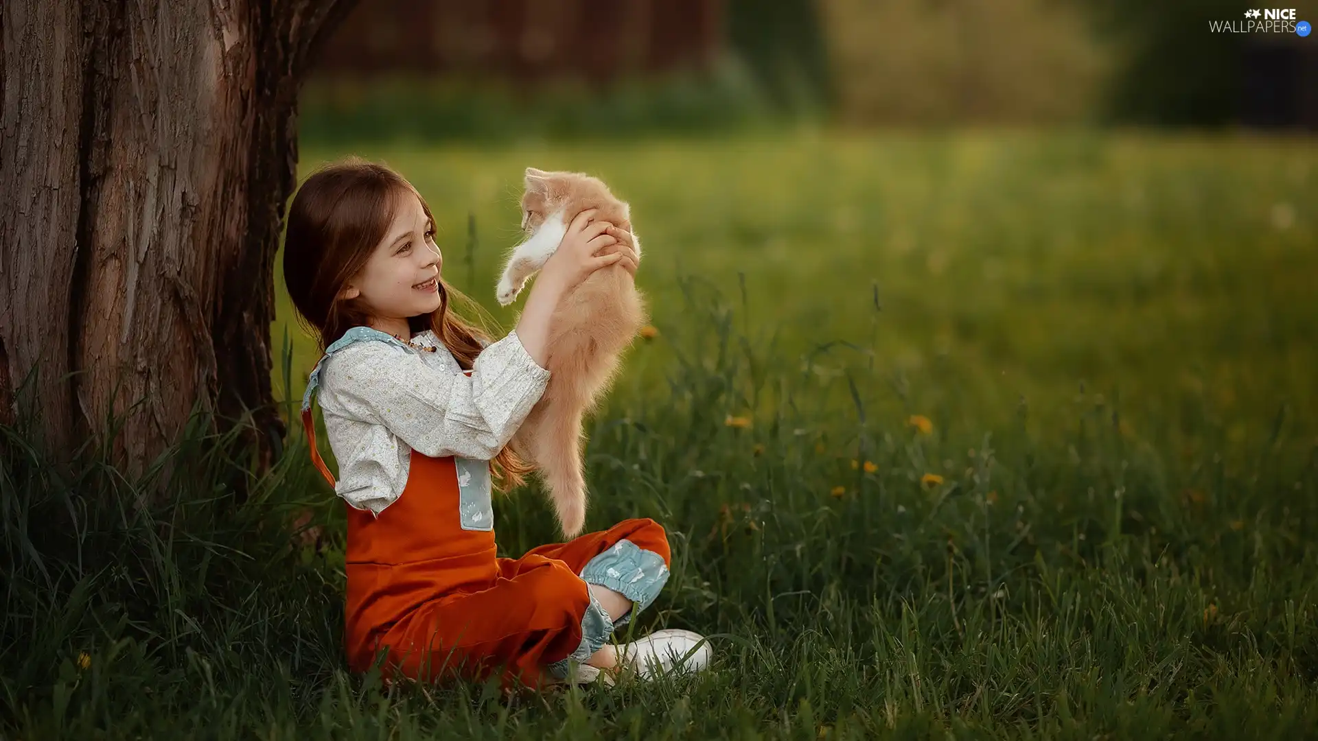 smiling, ginger, cat, girl