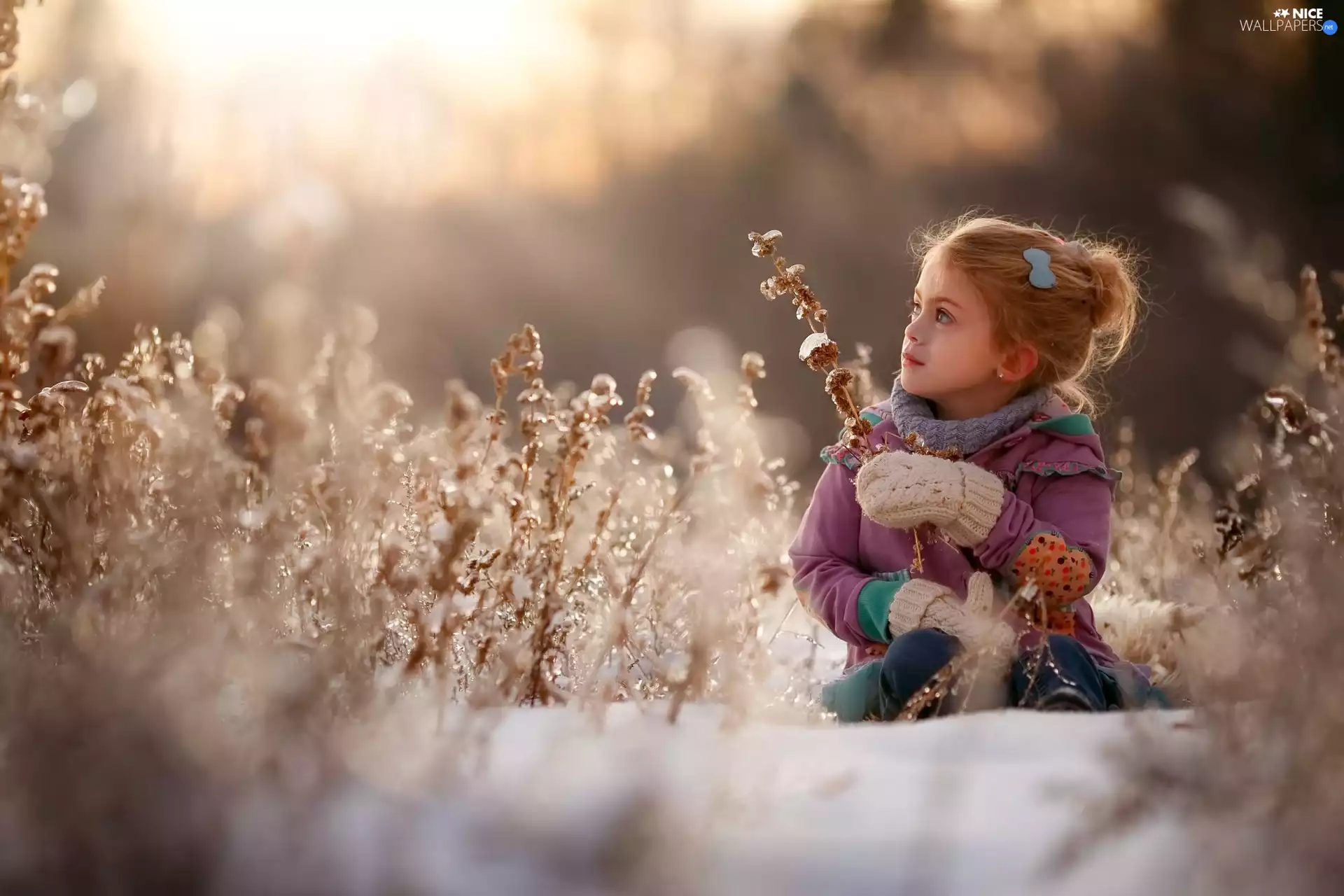 winter, Plants, snow, girl