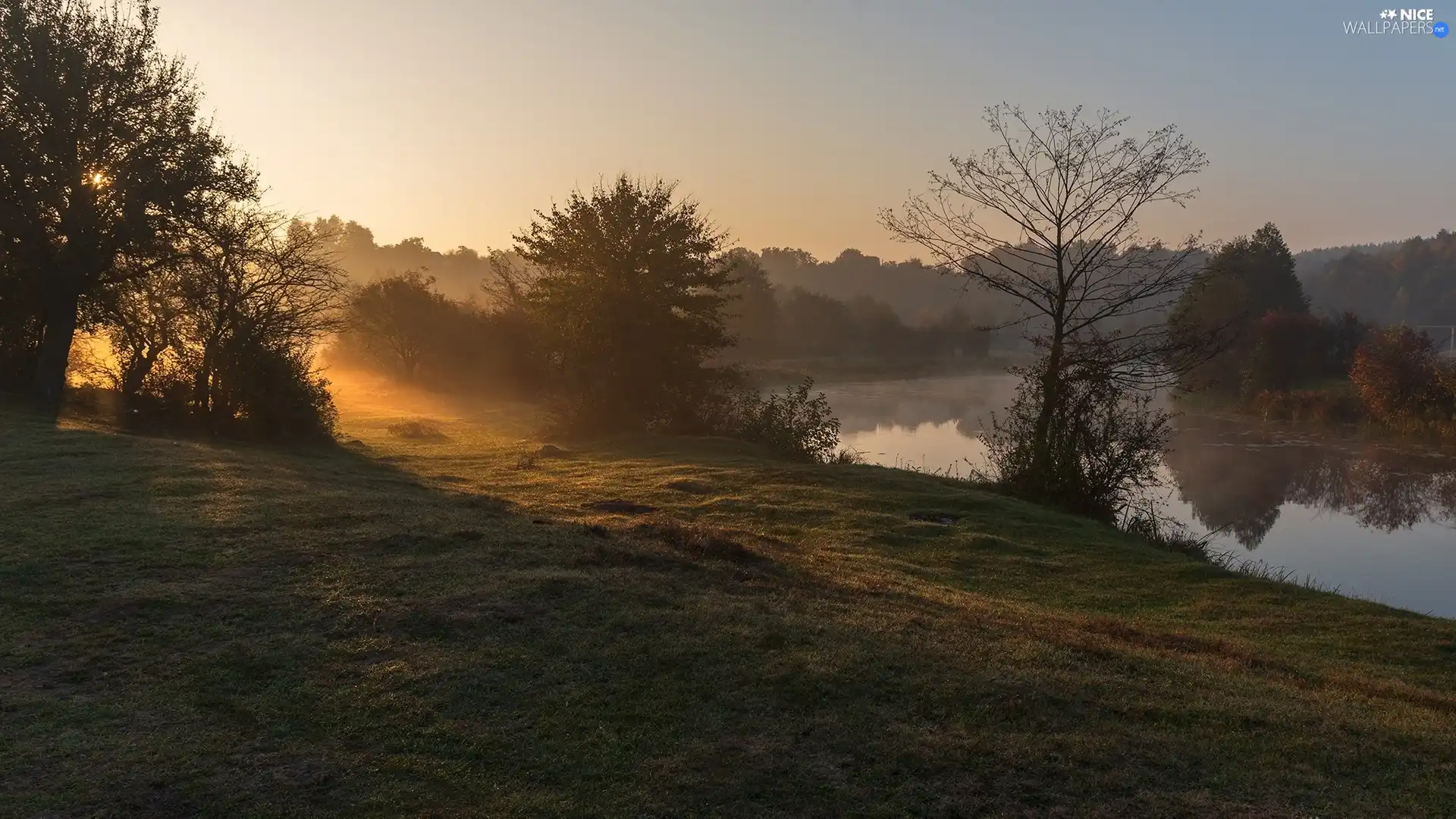 sun, Fog, trees, glamour, morning, River, viewes