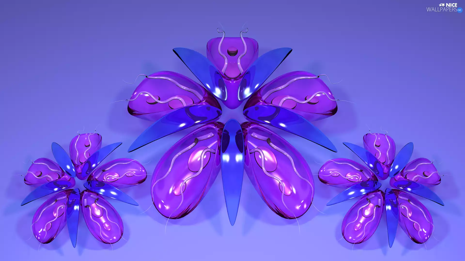 Flowers, 3D Graphics, glass