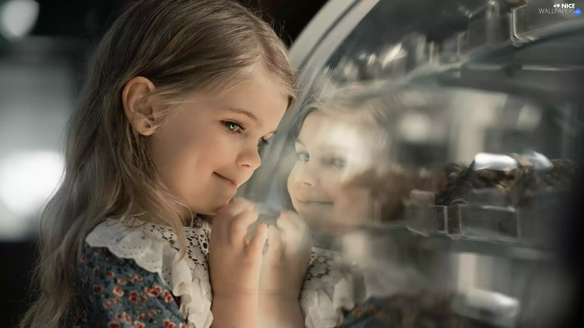 Glass, girl, reflection