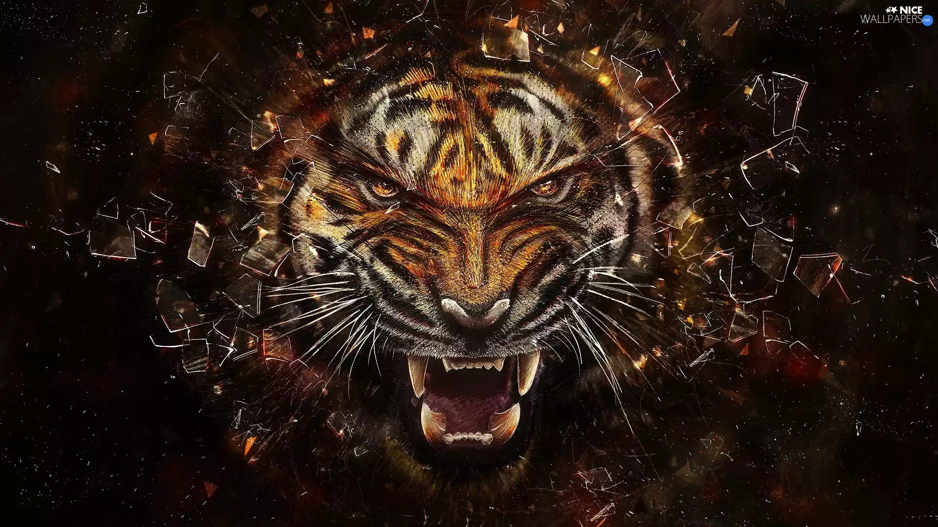 glasses, tiger, cuts