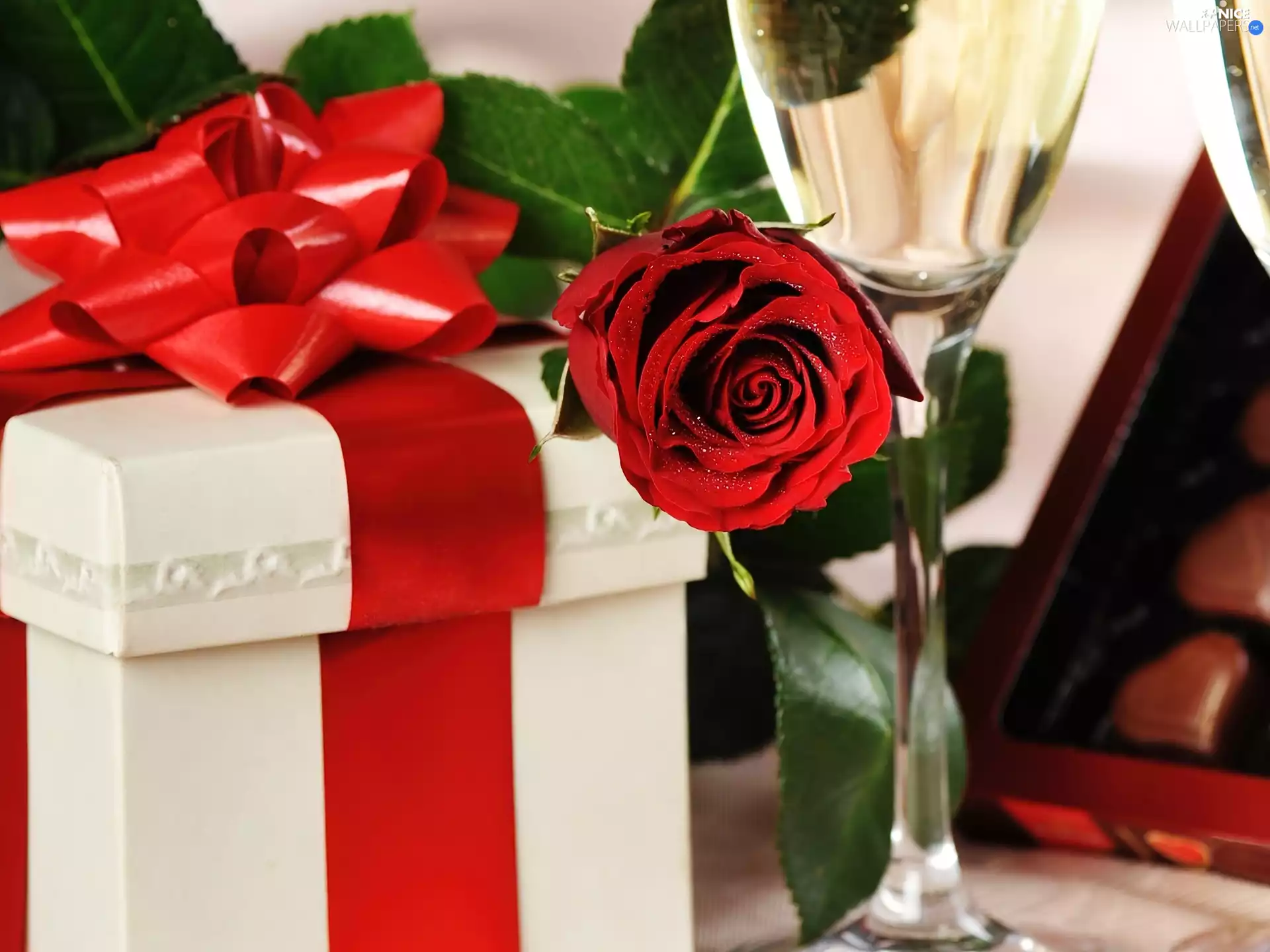glasses, rose, Present