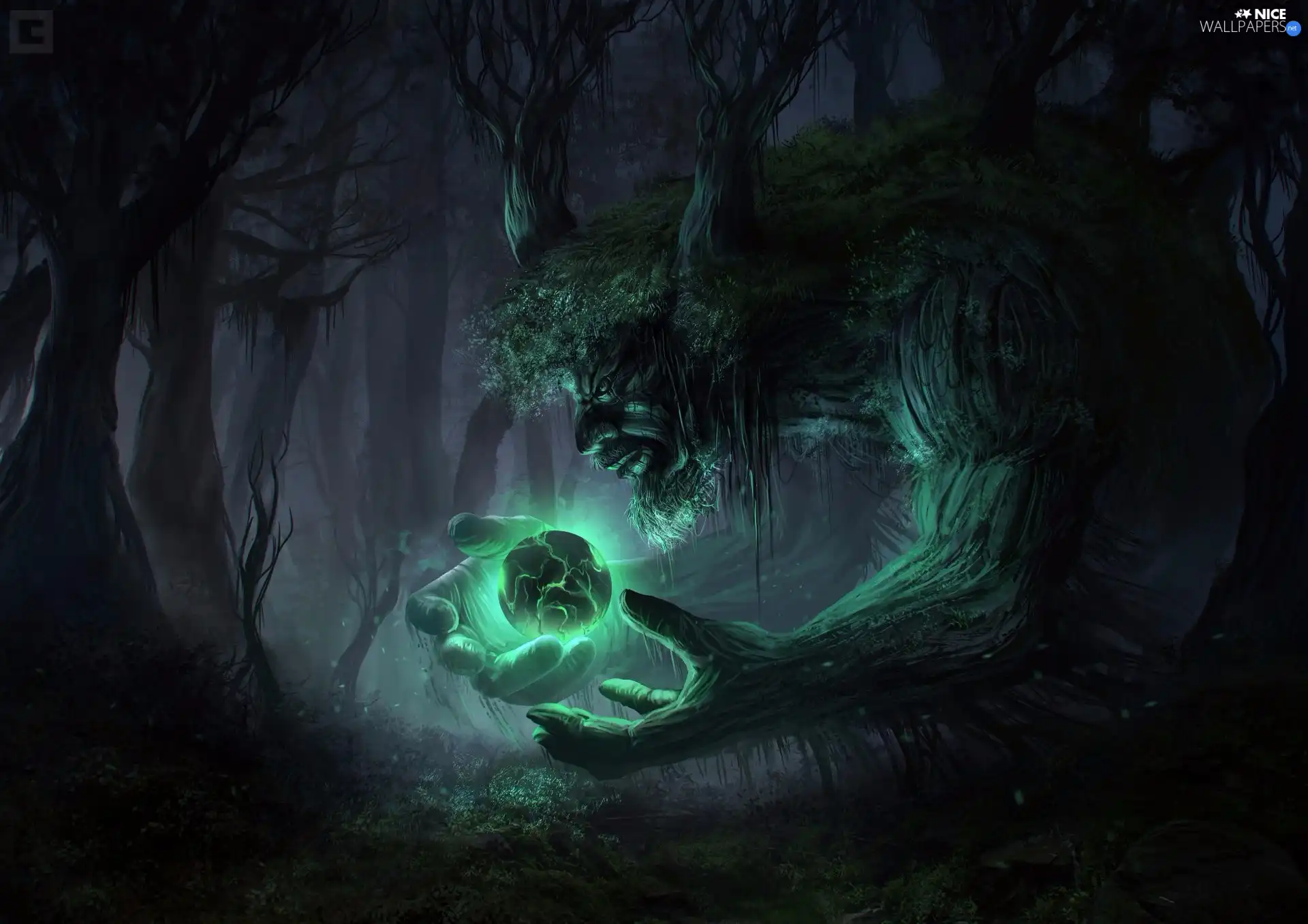 form, forest, glow, Orb, creature, Dusk