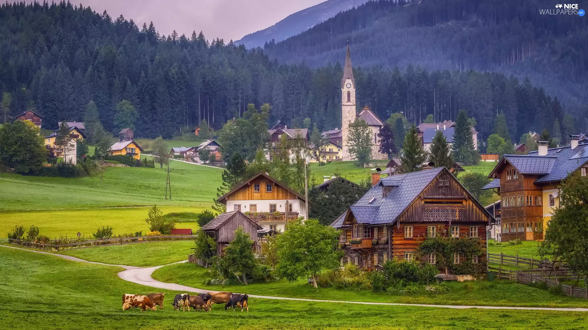 pasture, Houses, viewes, Austria, Fog, woods, Gmunden District, Cows, Dachstein Mountains, Gosau City, Way, trees, Church