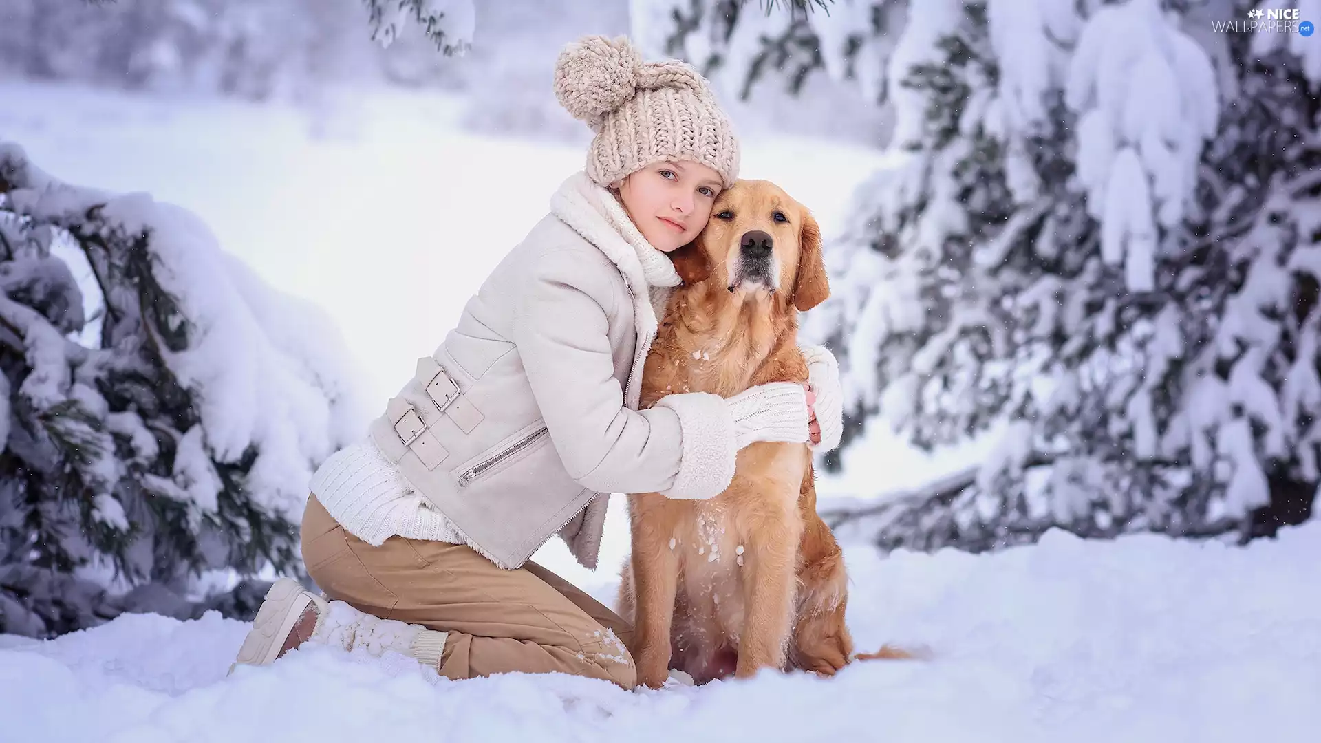Golden Retriever, snow, viewes, winter, trees, dog, girl, Snowy