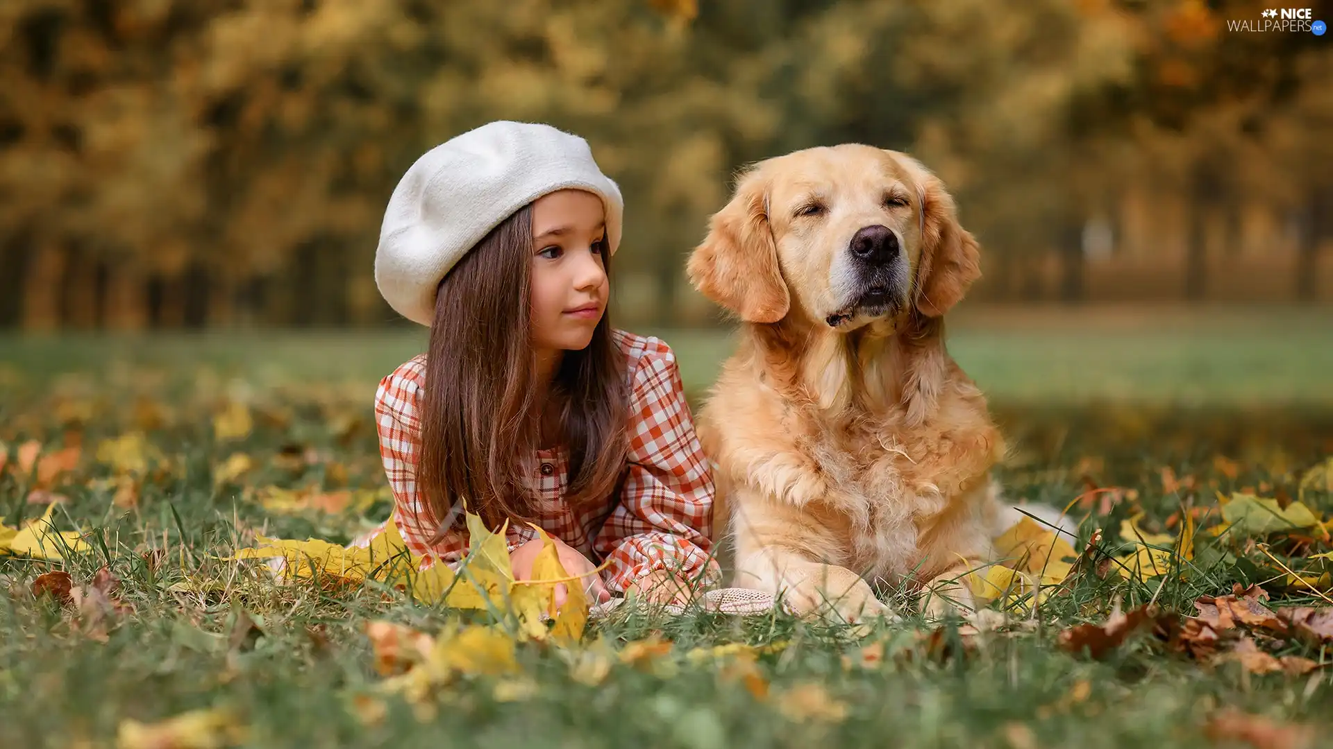 Meadow, autumn, dog, Golden Retriever, girl