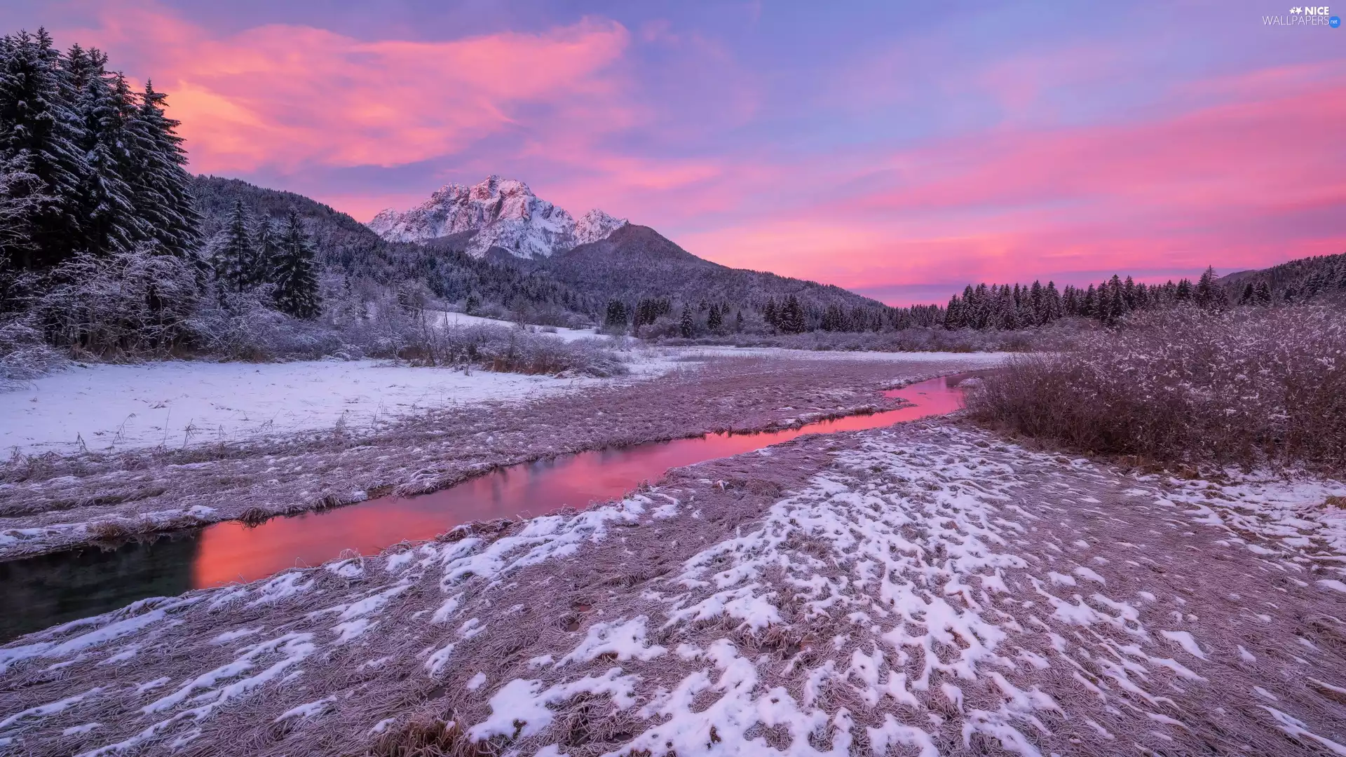 Zelenci Springs Nature Reserve, Sunrise, viewes, winter, trees, Kranjska Gora, Slovenia, River
