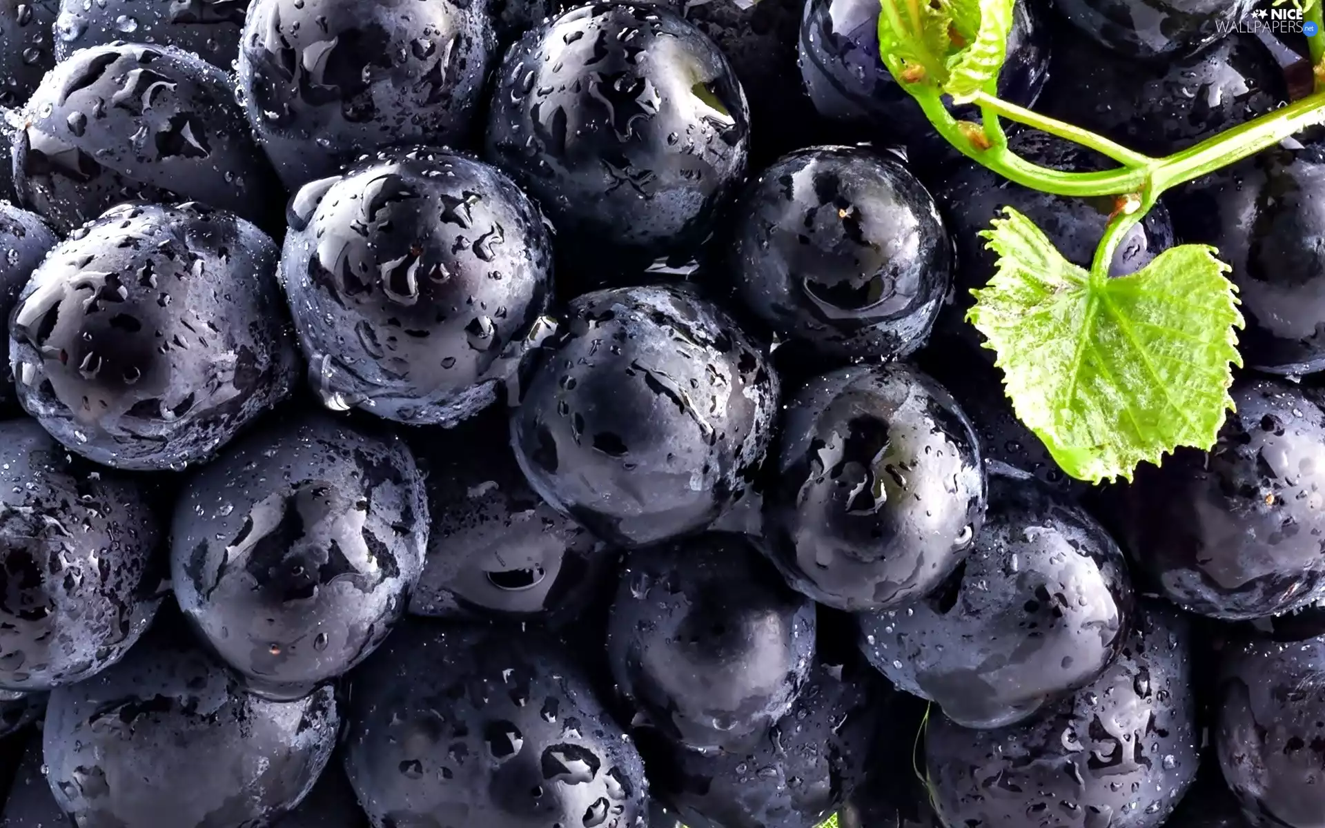 spray, leaves, drops, grape