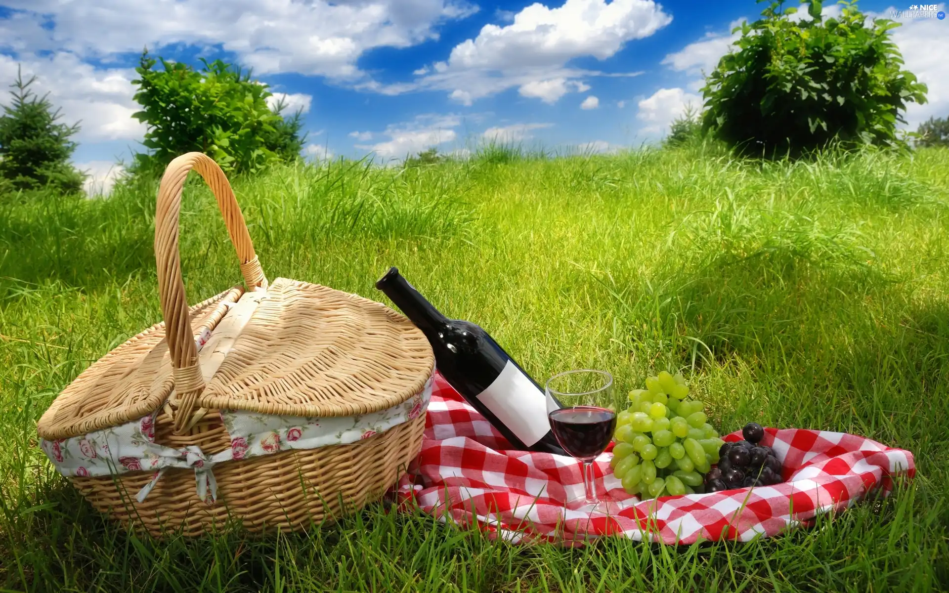 Grapes, picnic, basket, Wine, grass