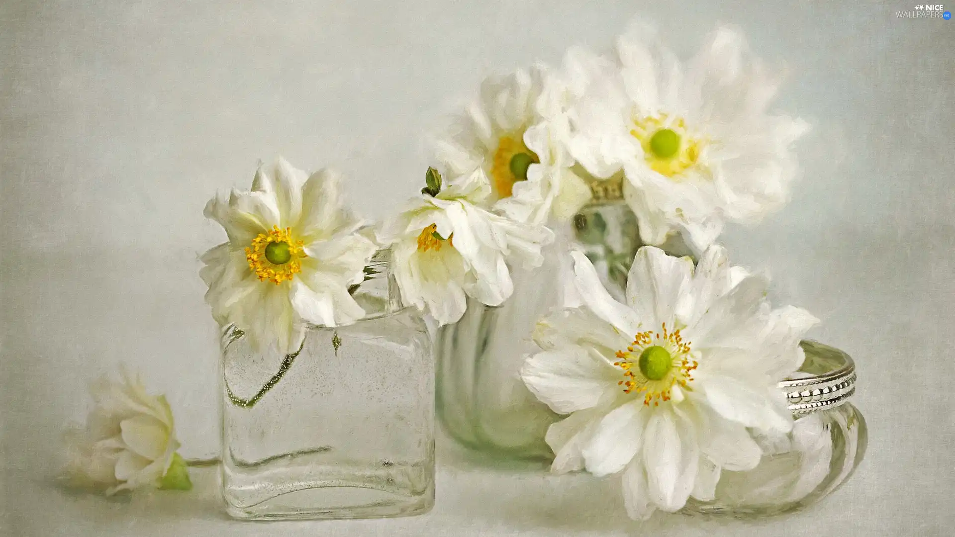 glass, Flowers, Vase, graphics, dishes, Anemones