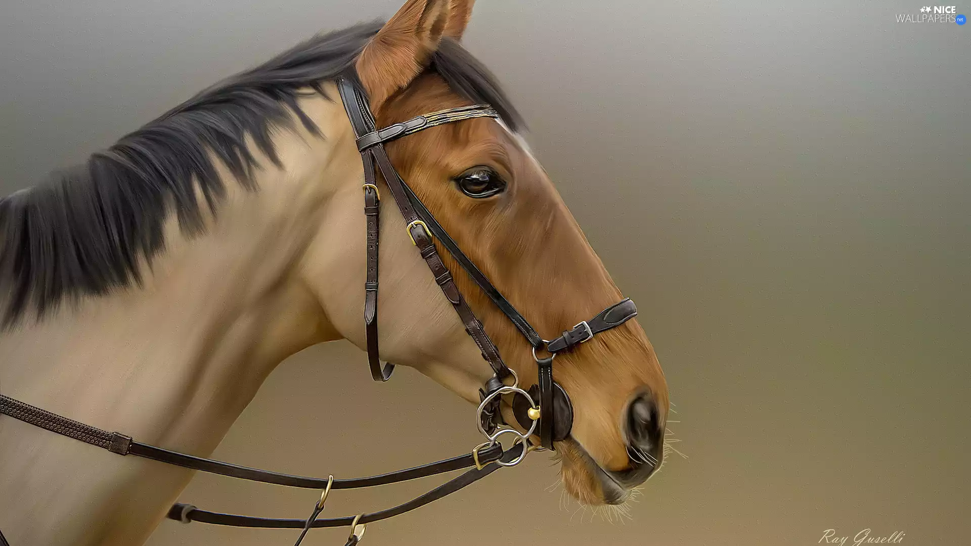 bridle, graphics, bay, profile, Horse