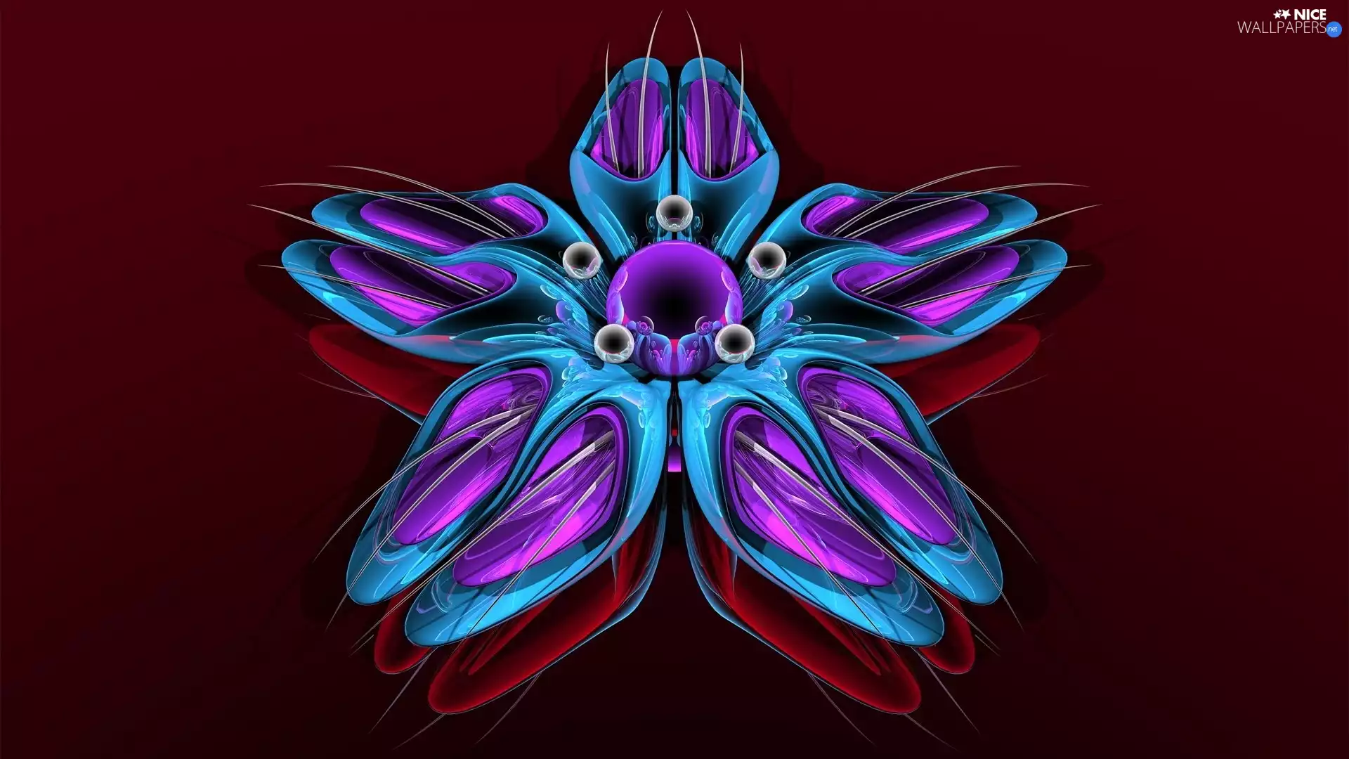 3D Graphics, blue, Colourfull Flowers