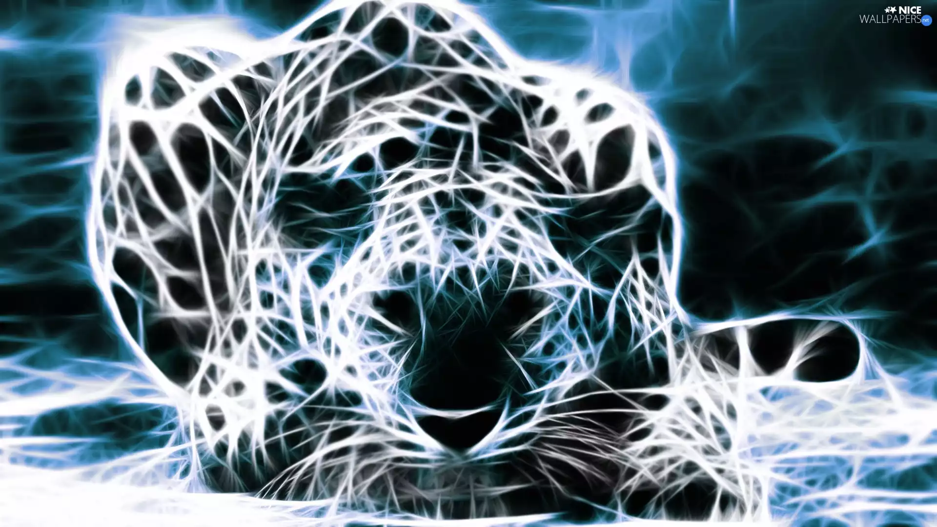 graphics, Cheetah, Bright