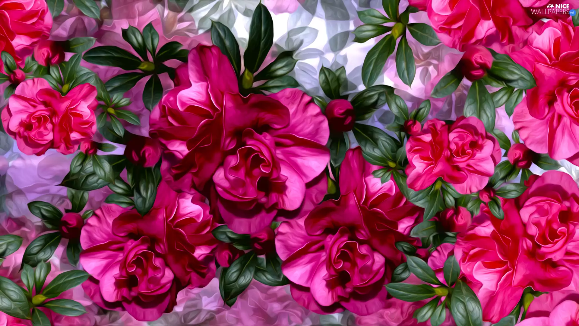 graphics, Flowers, camellia