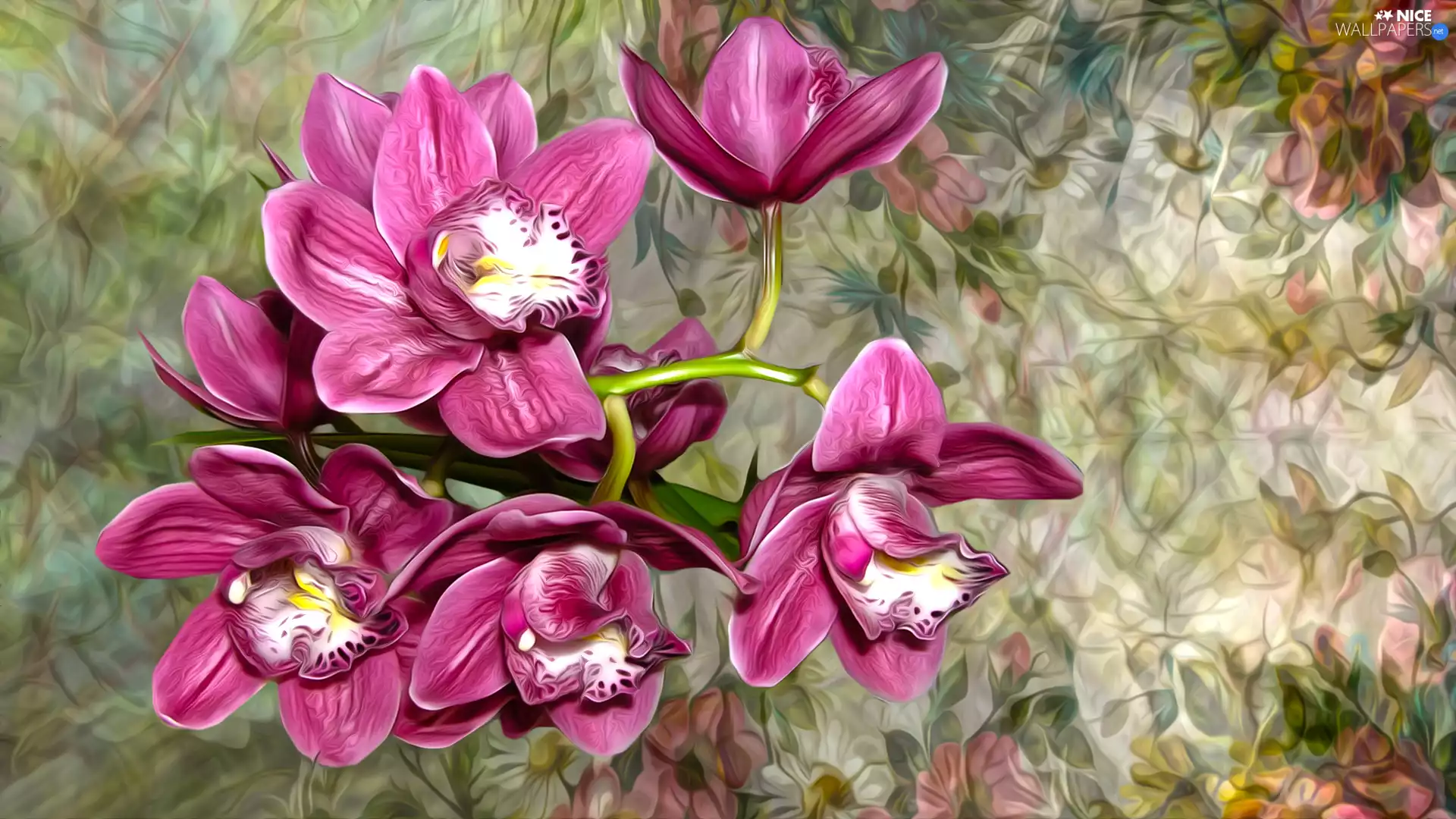 Flowers, graphics, Colorful Background, orchids