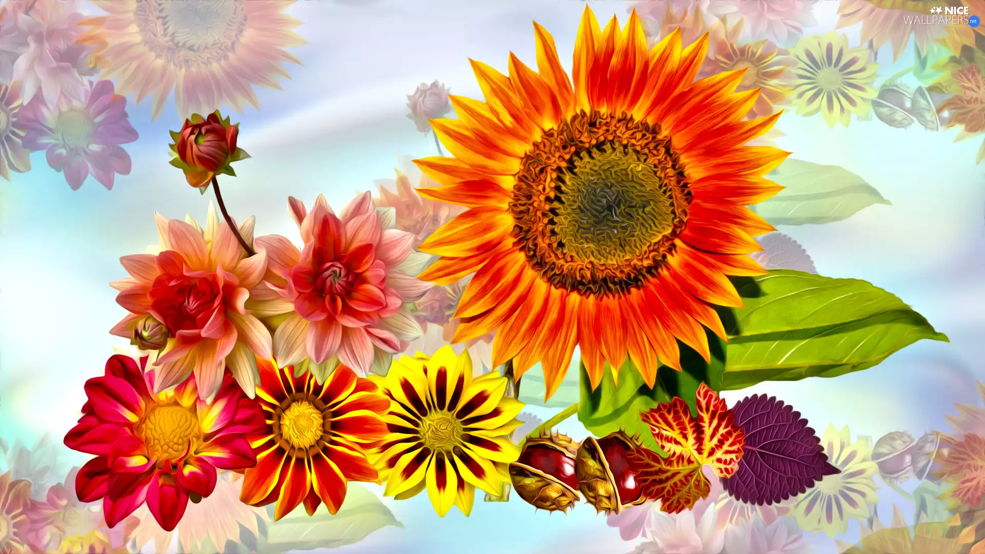 chestnuts, graphics, dahlias, Sunflower, Flowers