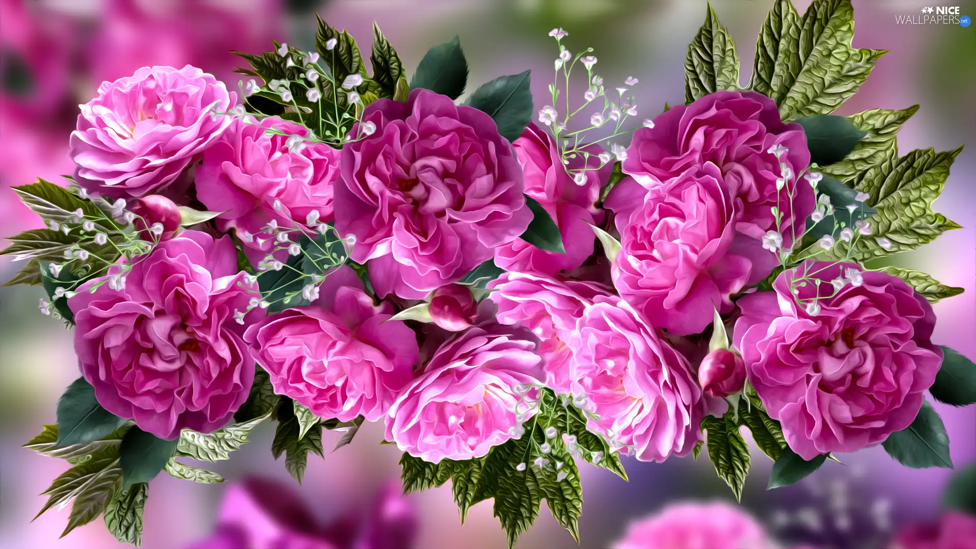 leaves, graphics, developed, roses, Pink