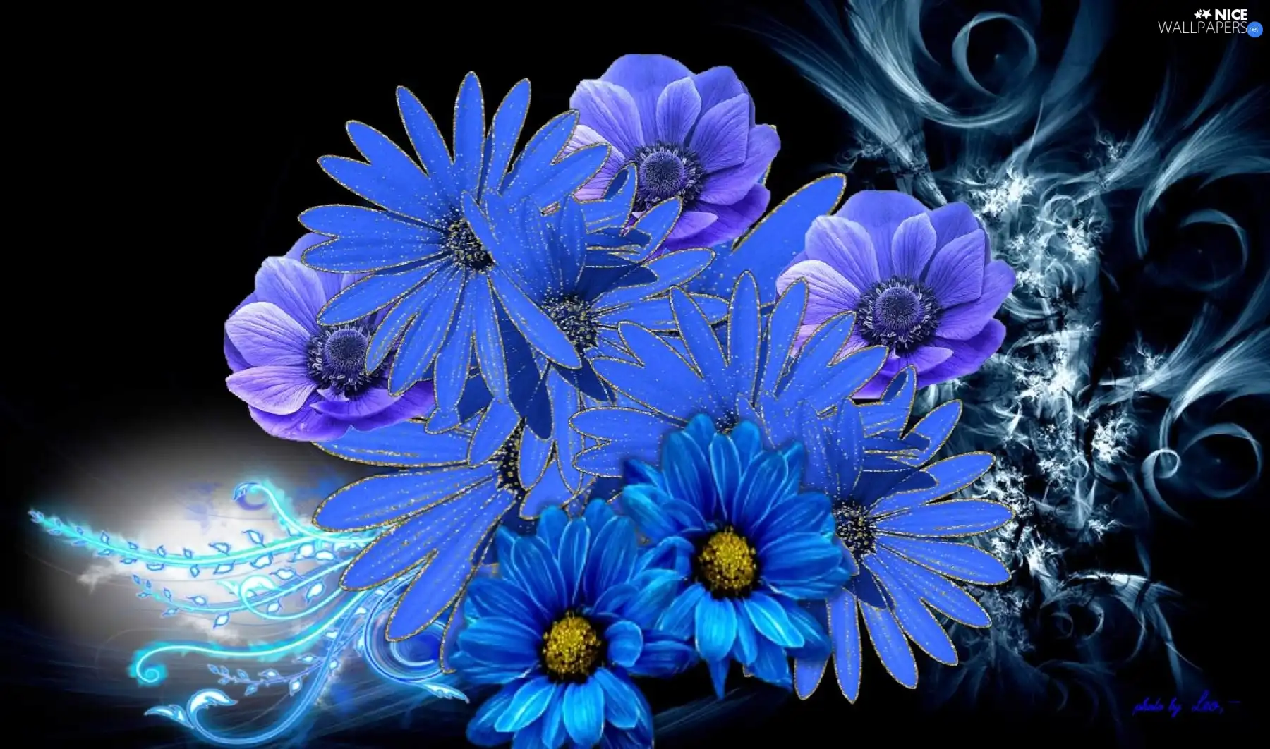 graphics, Blue, Flowers