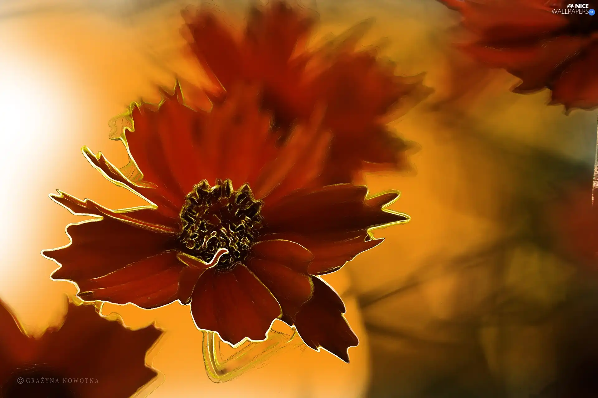 graphics, Red, Flowers