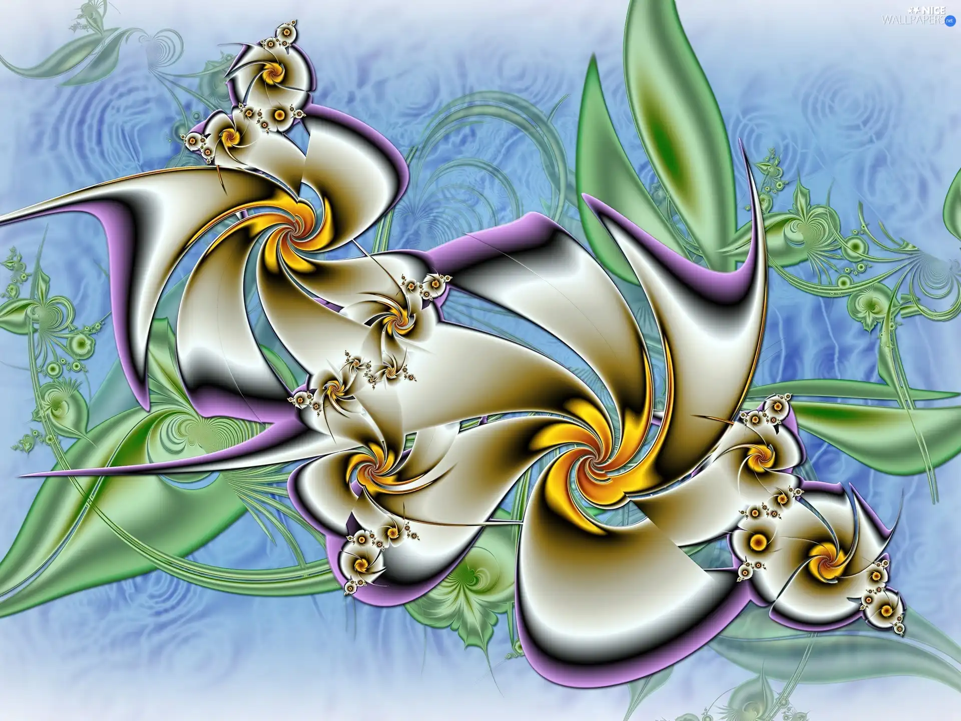 graphics, White, Flowers