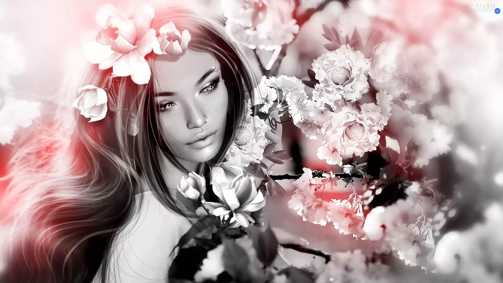 2D Graphics, Flowers, Twigs, Women